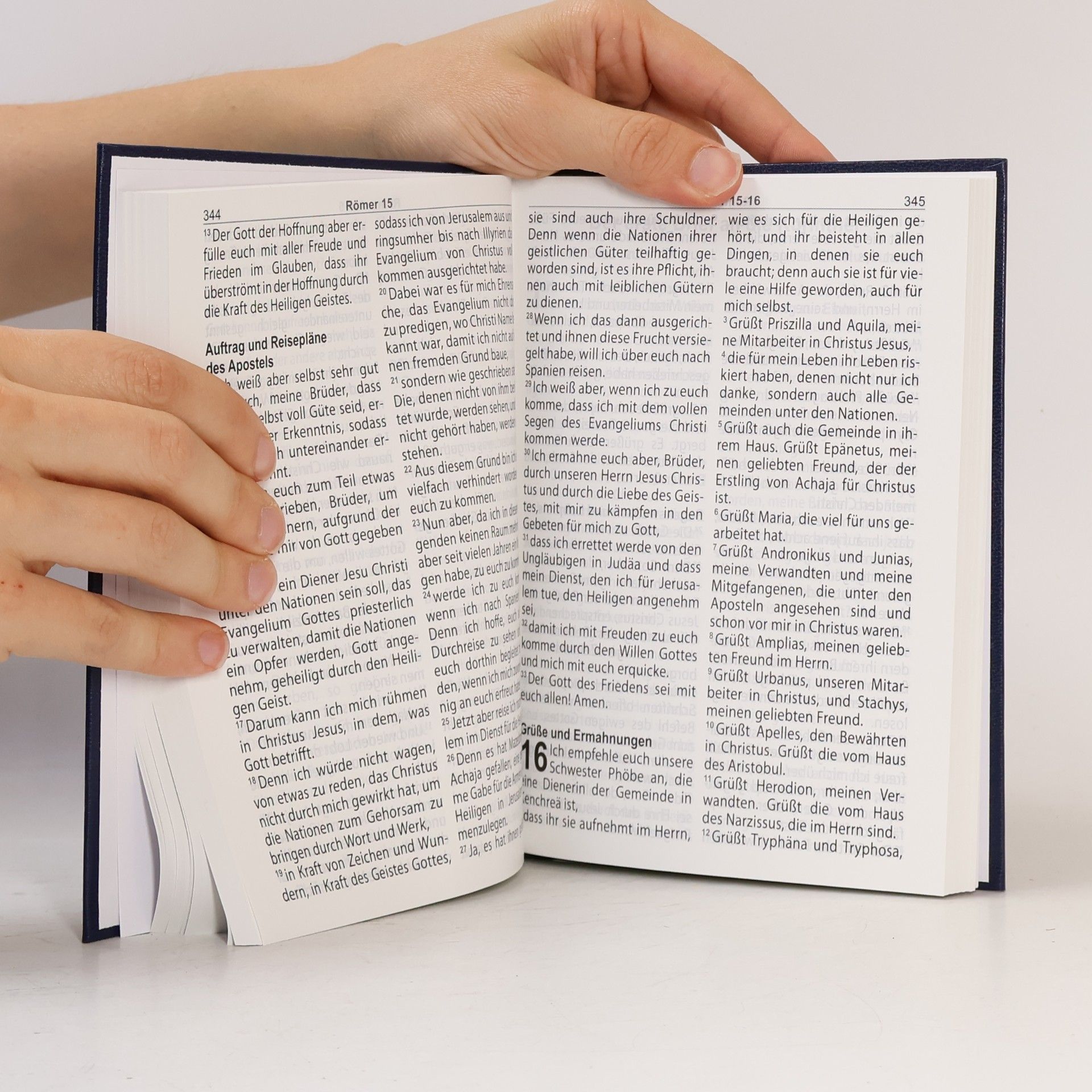 Collectif d'auteurs Neues Testament