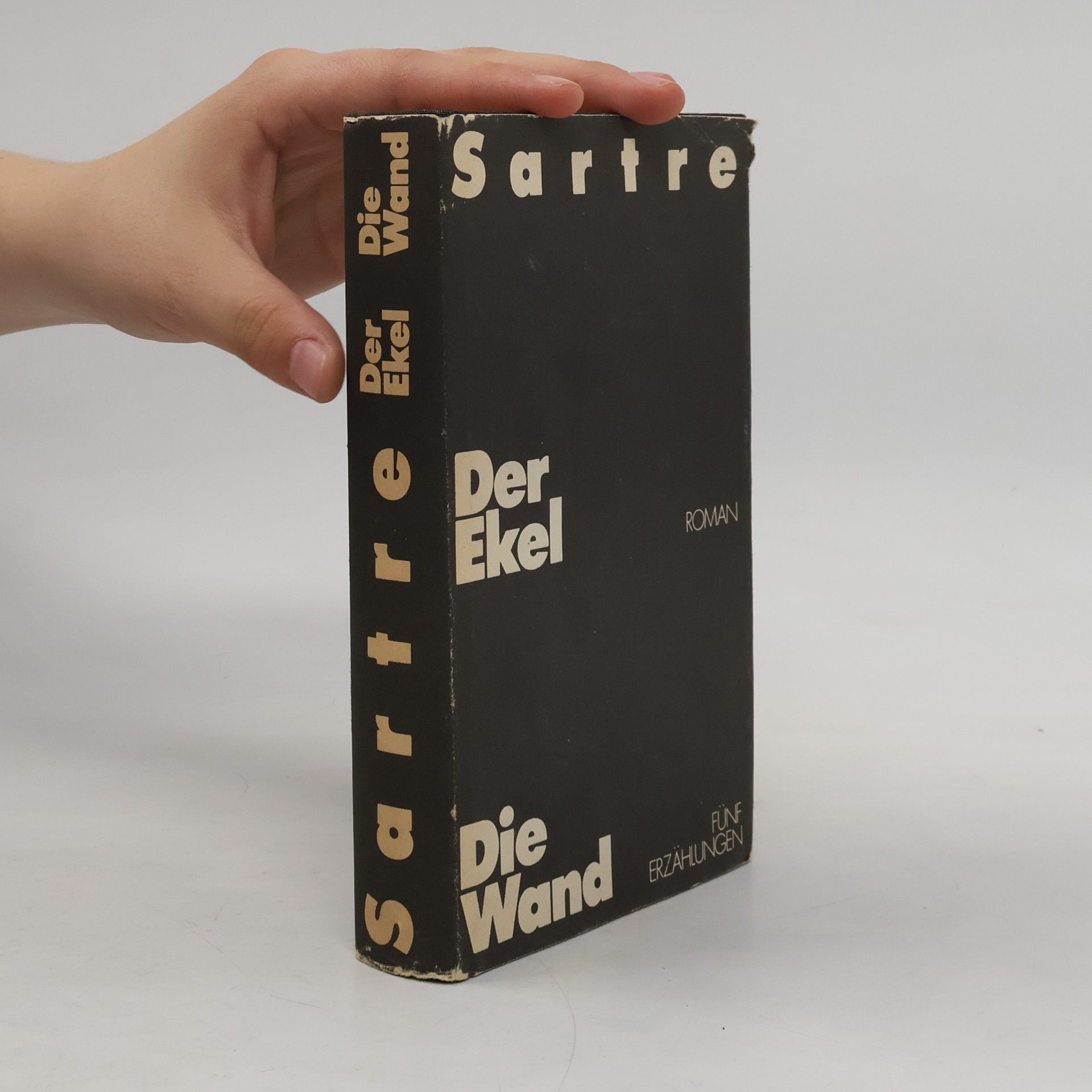 Jean-Paul Sartre Der Ekel, Die Wand
