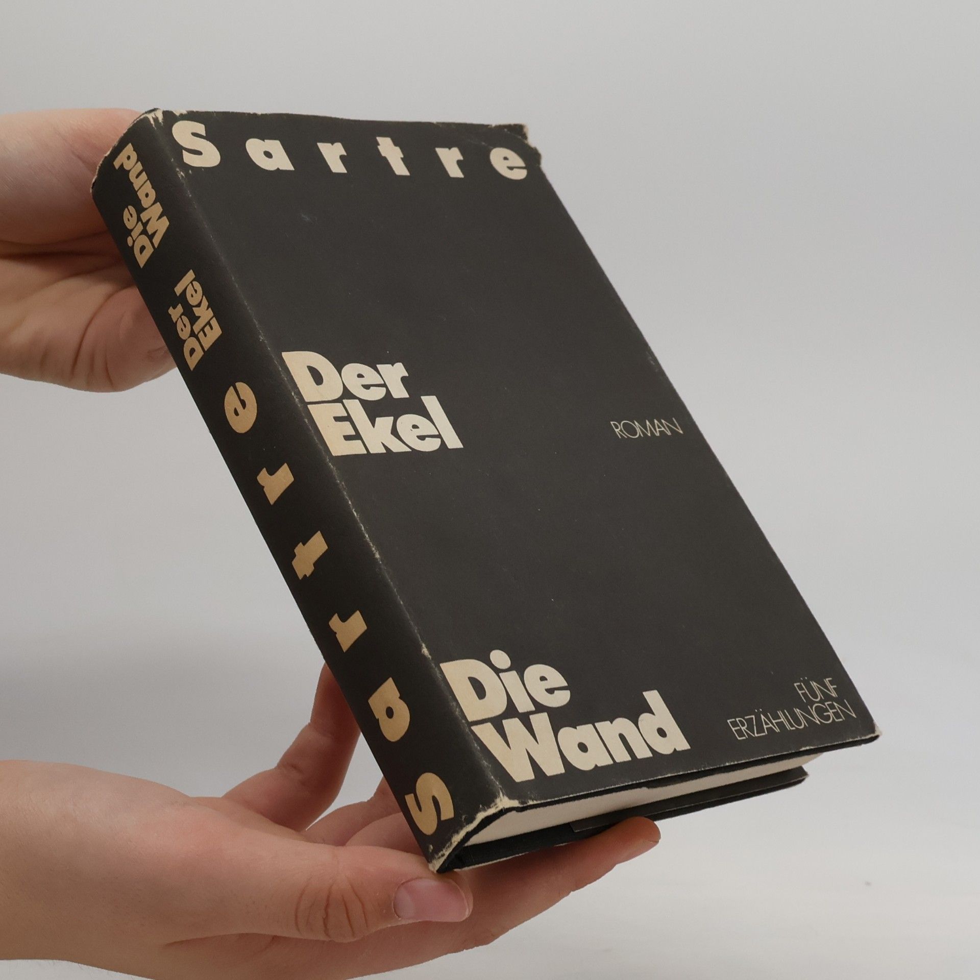 Jean-Paul Sartre Der Ekel, Die Wand