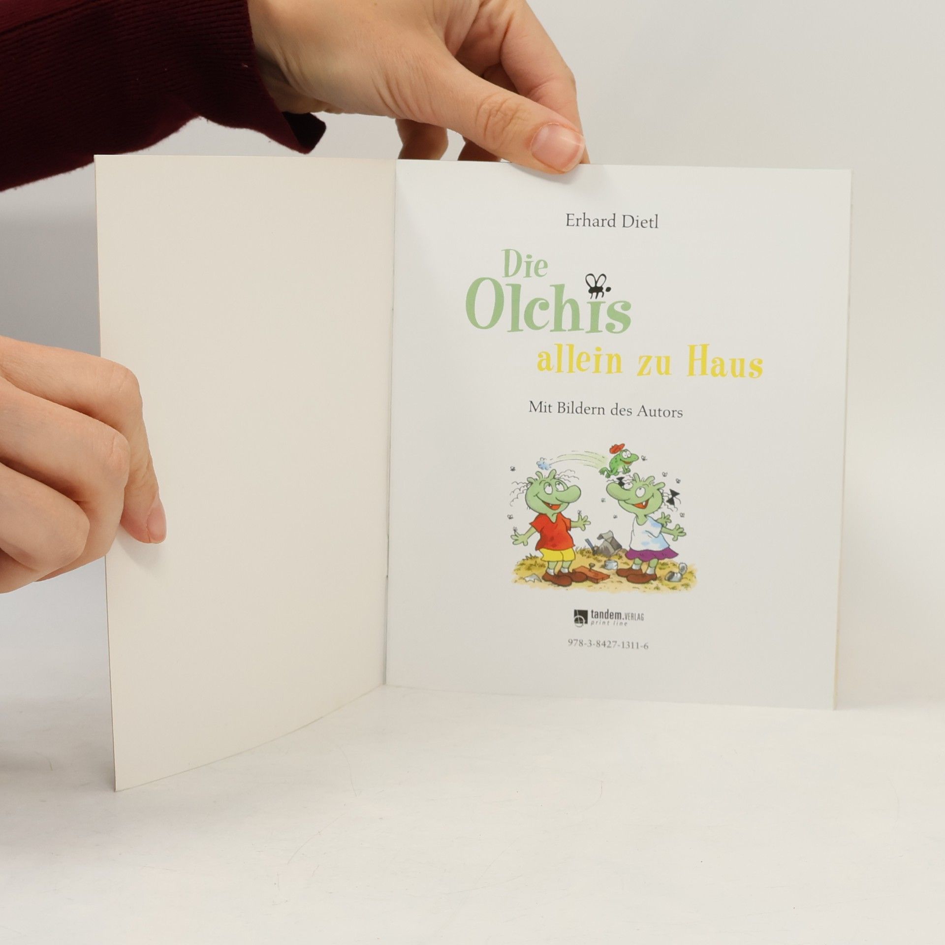 Erhard Dietl Die Olchis allein zu Haus