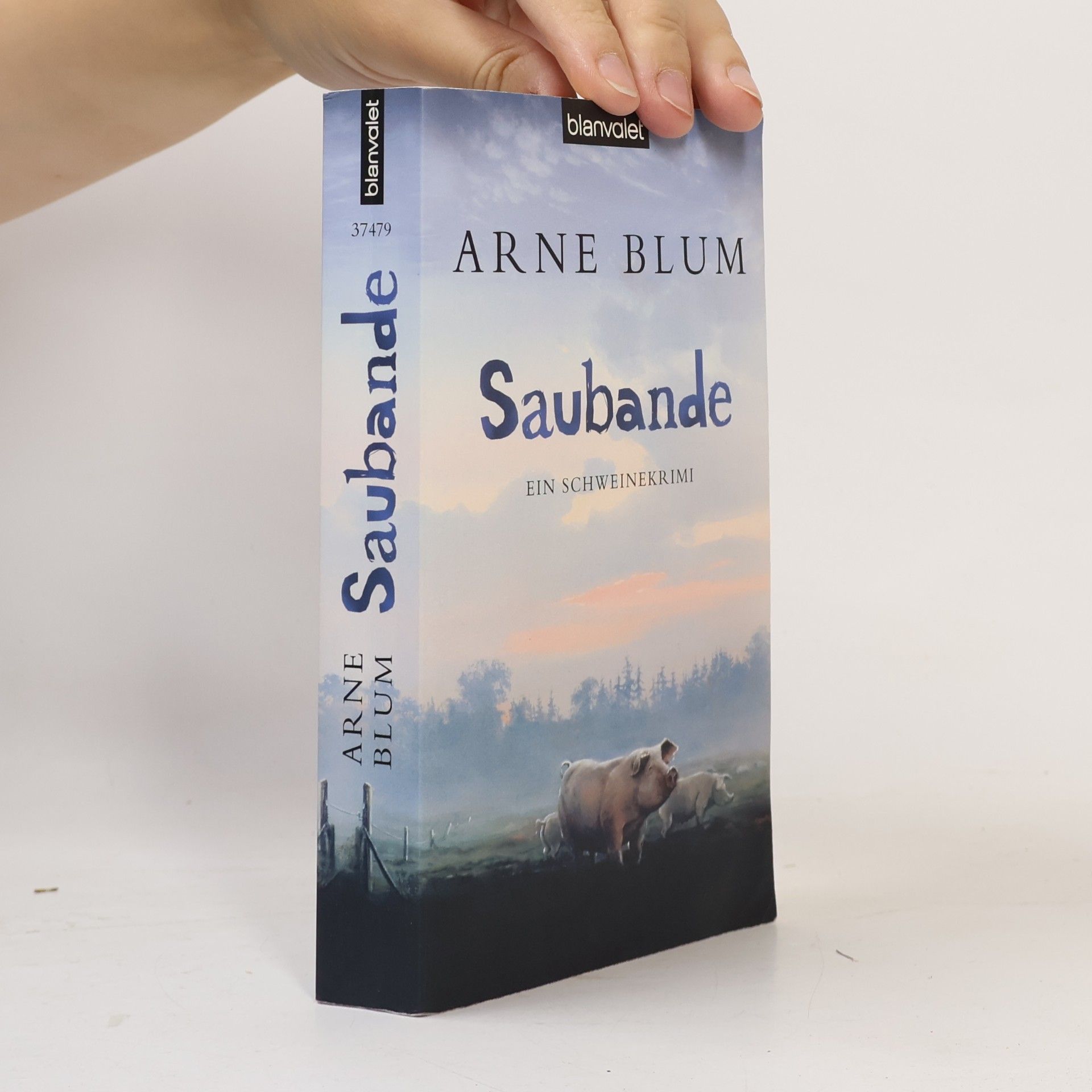 Arne Blum Saubande