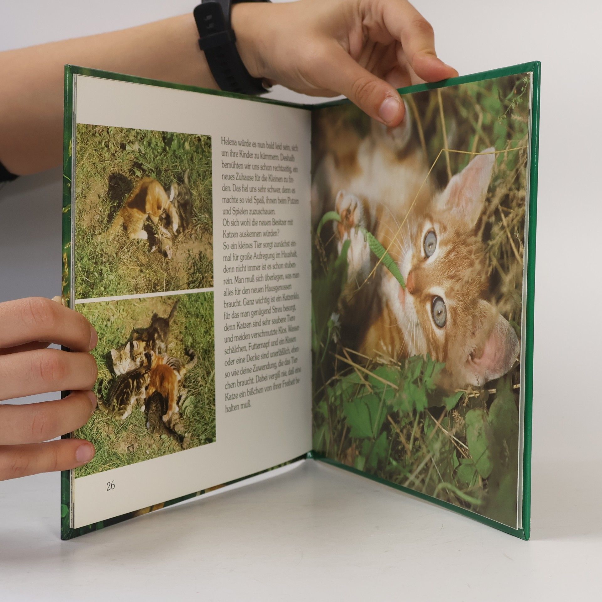 Kinderstube der Tiere