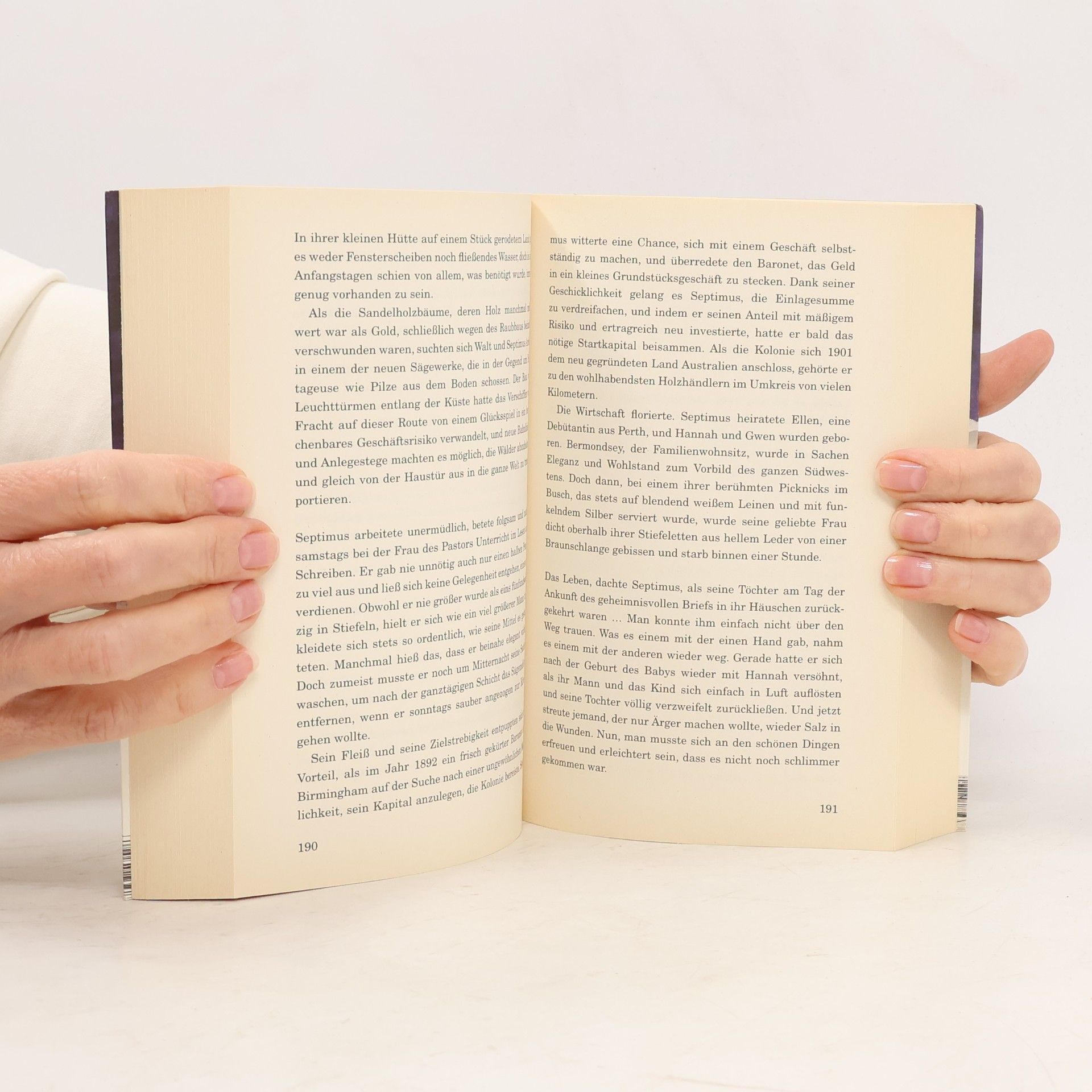 M. L. Stedman Das Licht zwischen den Meeren