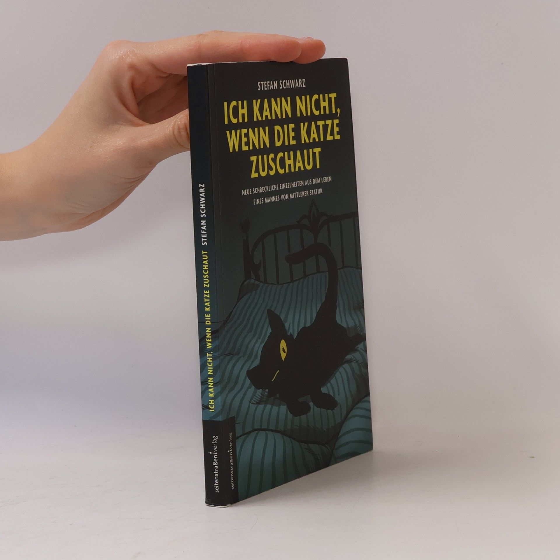 Stefan Schwarz Ich kann nicht, wenn die Katze zuschaut