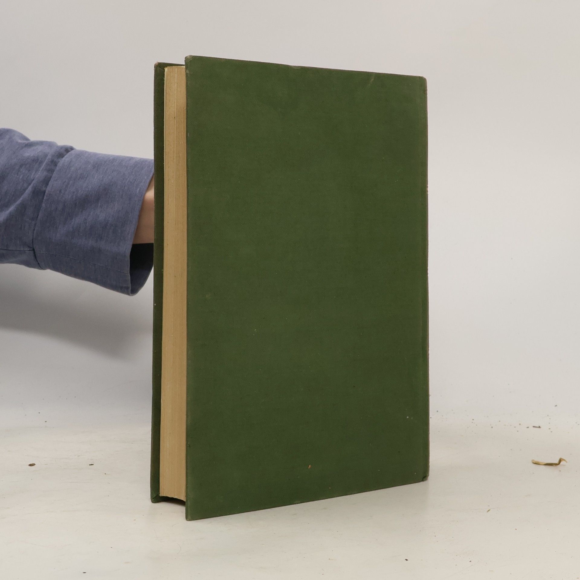 Autorenkollektiv Napoleon 11-12