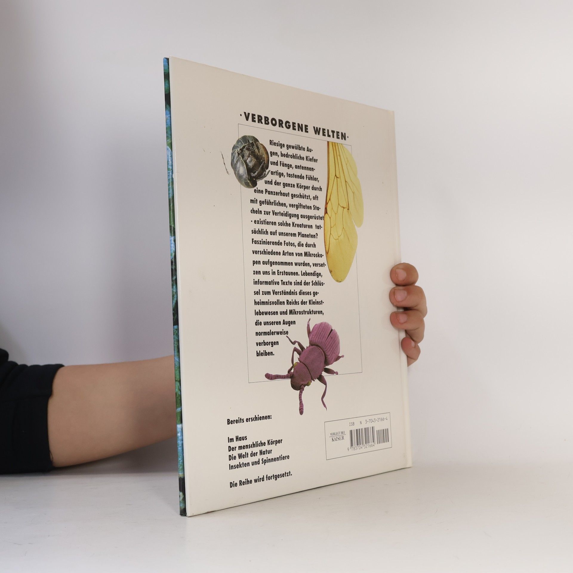 Heather Amery Insekten und Spinnentiere
