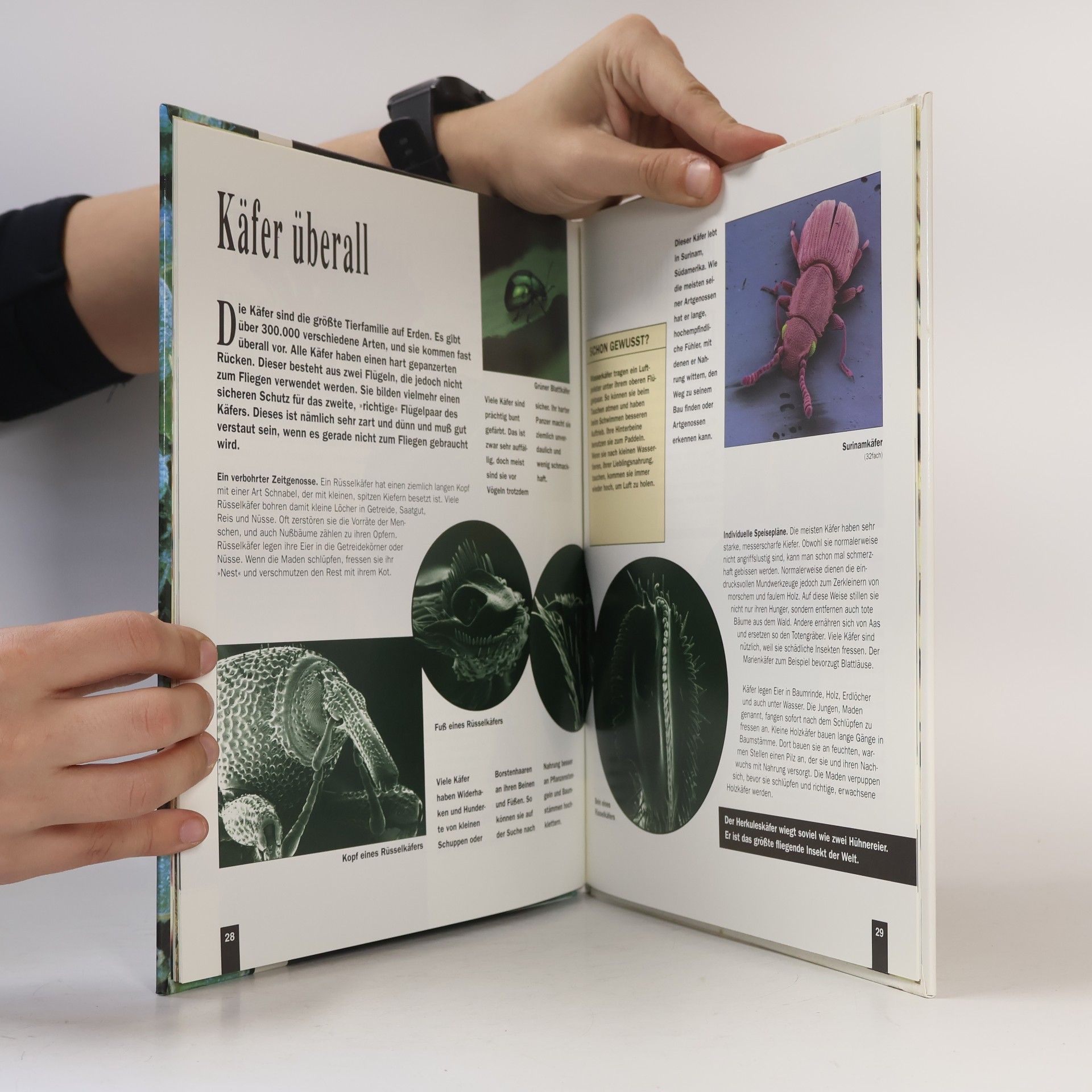 Heather Amery Insekten und Spinnentiere