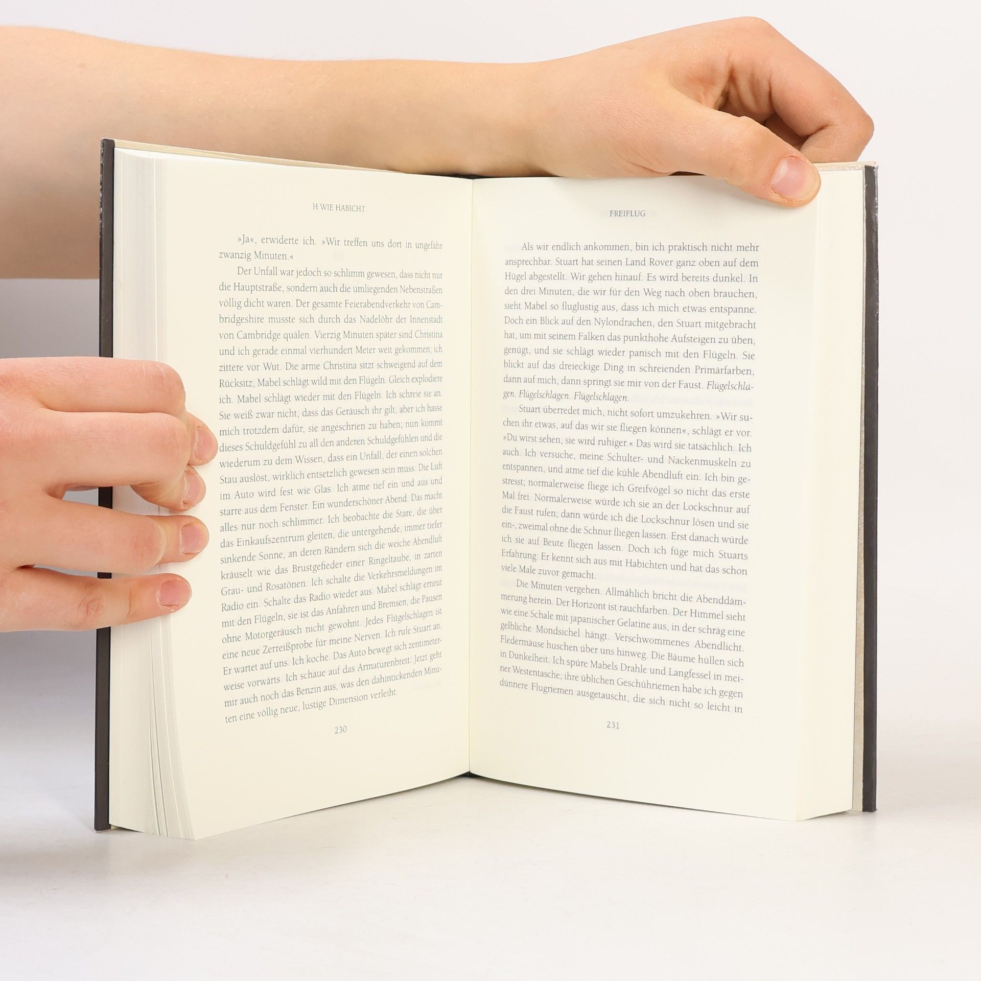 Helen Macdonald H wie Habicht