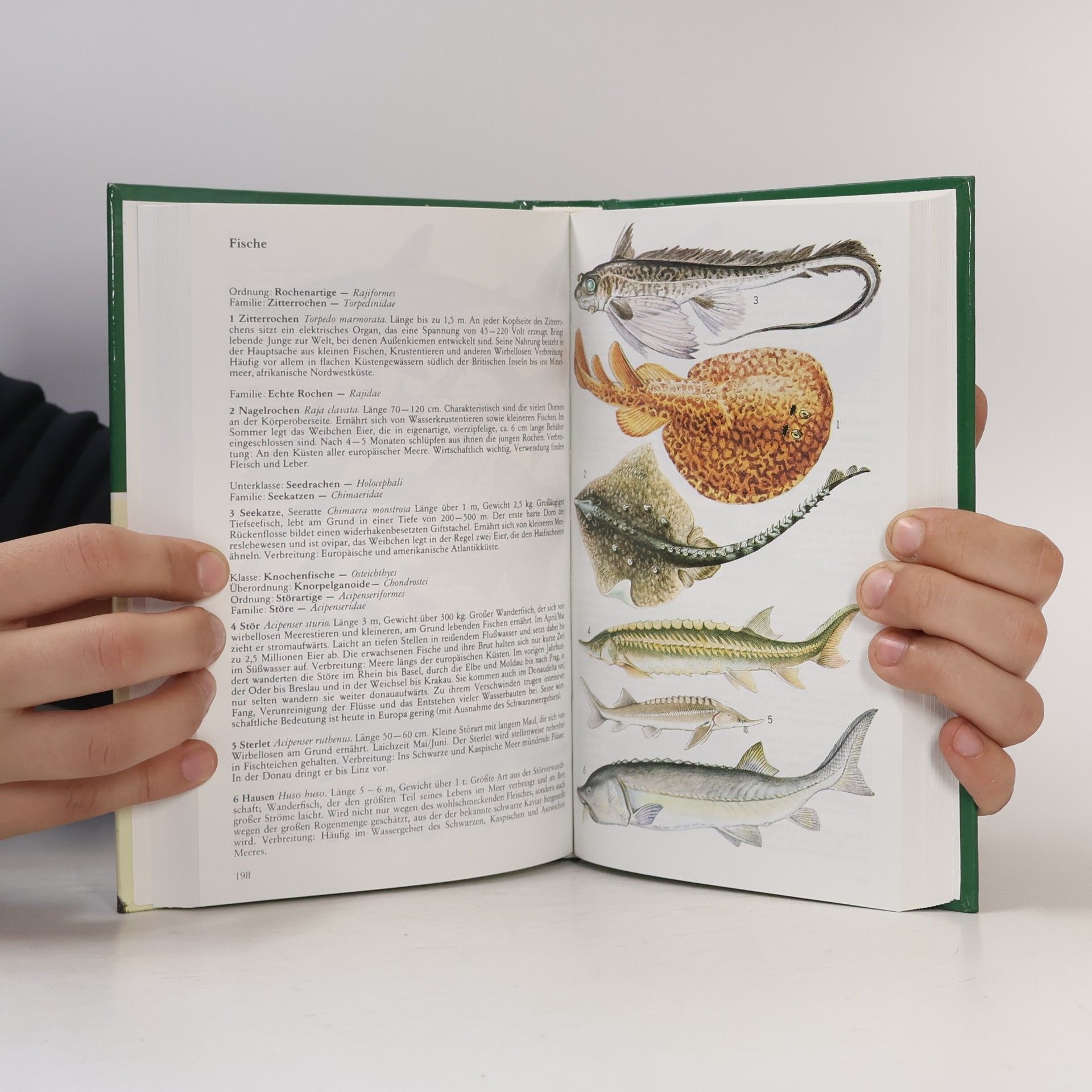 Jiří Zahradník Der Kosmos-Tierführer : Ein Bestimmungsbuch mit 1092 Farbbildern