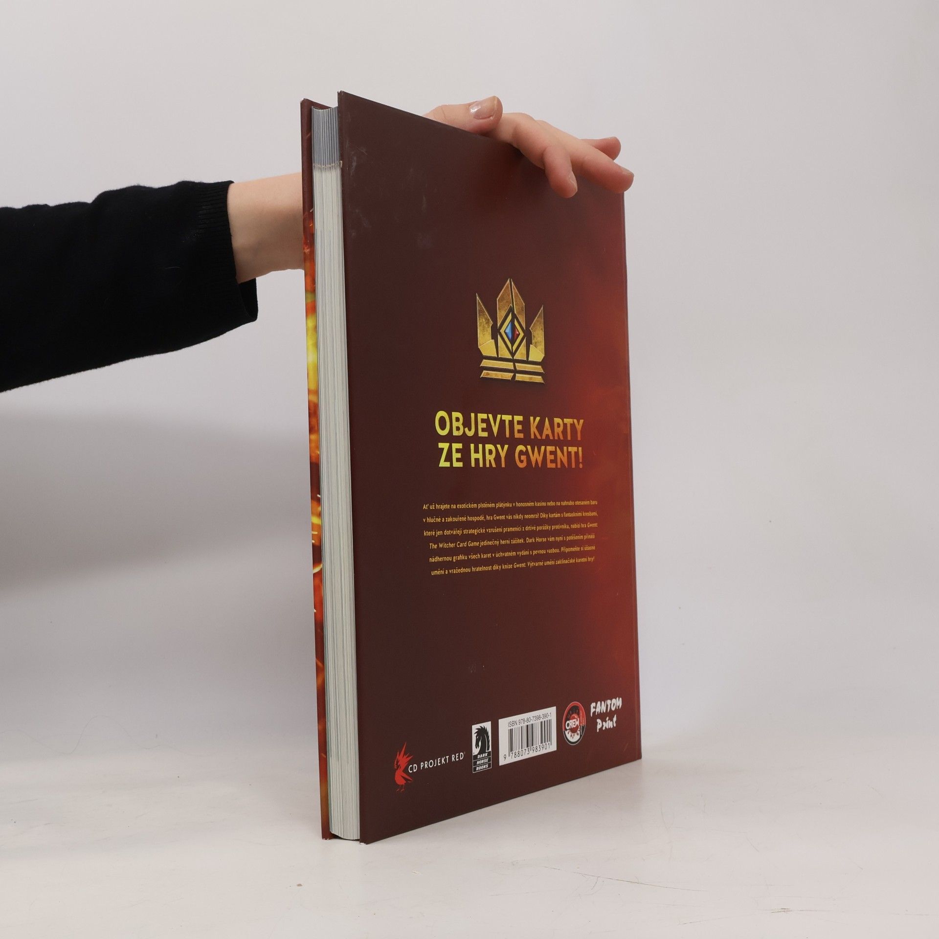 Filip Ženíšek Gwent: Výtvarné umění zaklínačské karetní hry