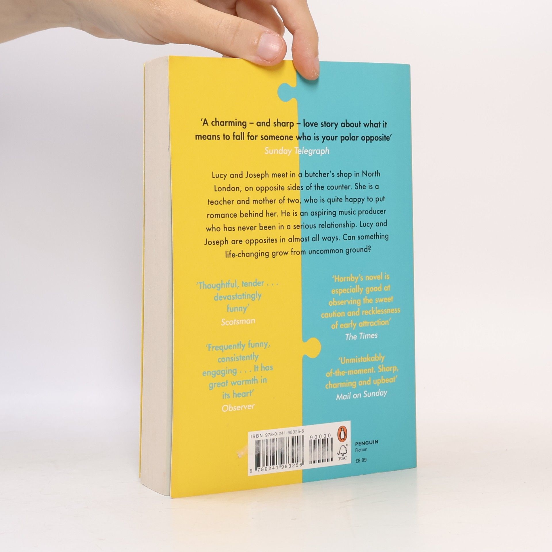 Nick Hornby Just like you