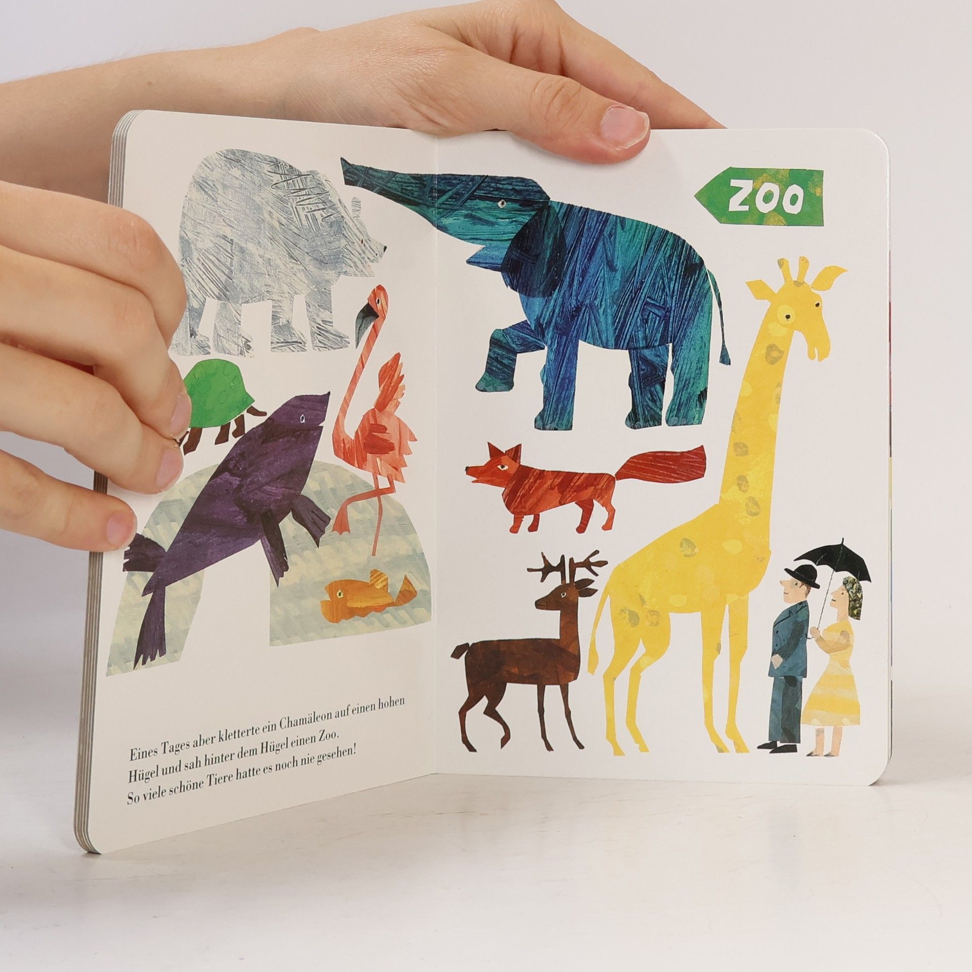 Eric Carle Chamäleon Kunterbunt