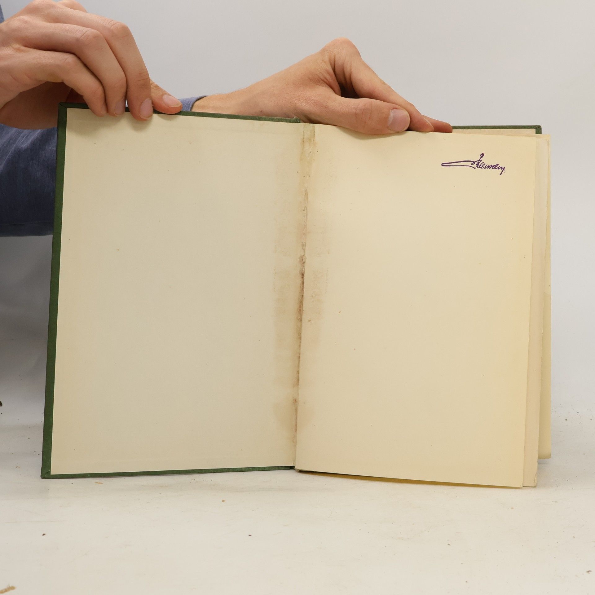 Kolektiv autorů Napoleon. Die Memoiren seines Lebens. Band 3