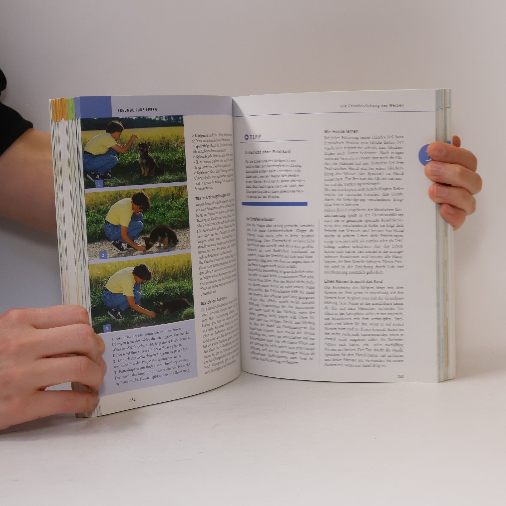 Gerd Ludwig Das große Praxishandbuch Hunde