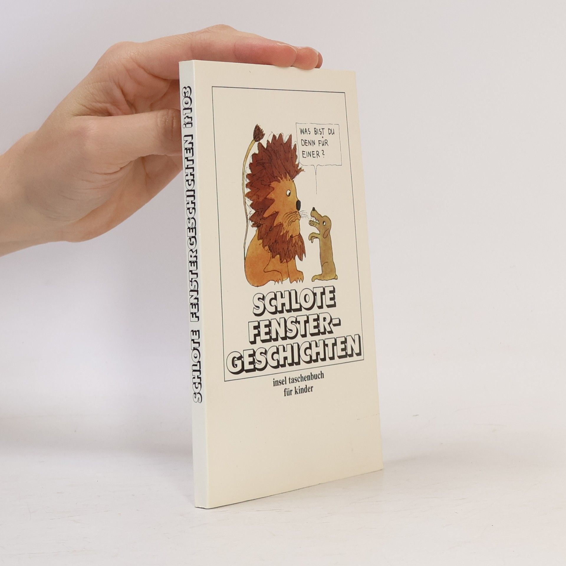 Insel Taschenbuch - 103: Fenstergeschichten