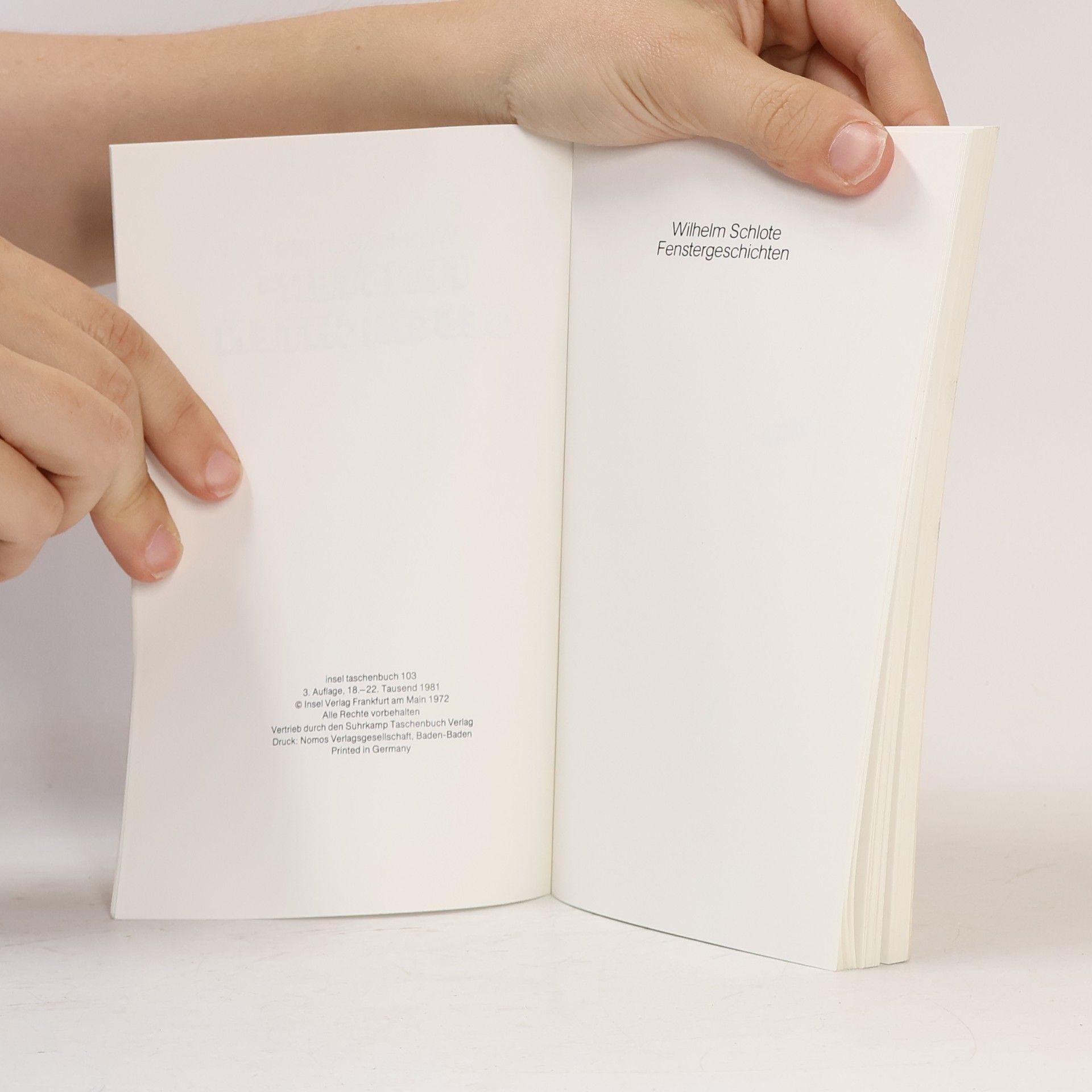 Insel Taschenbuch - 103: Fenstergeschichten