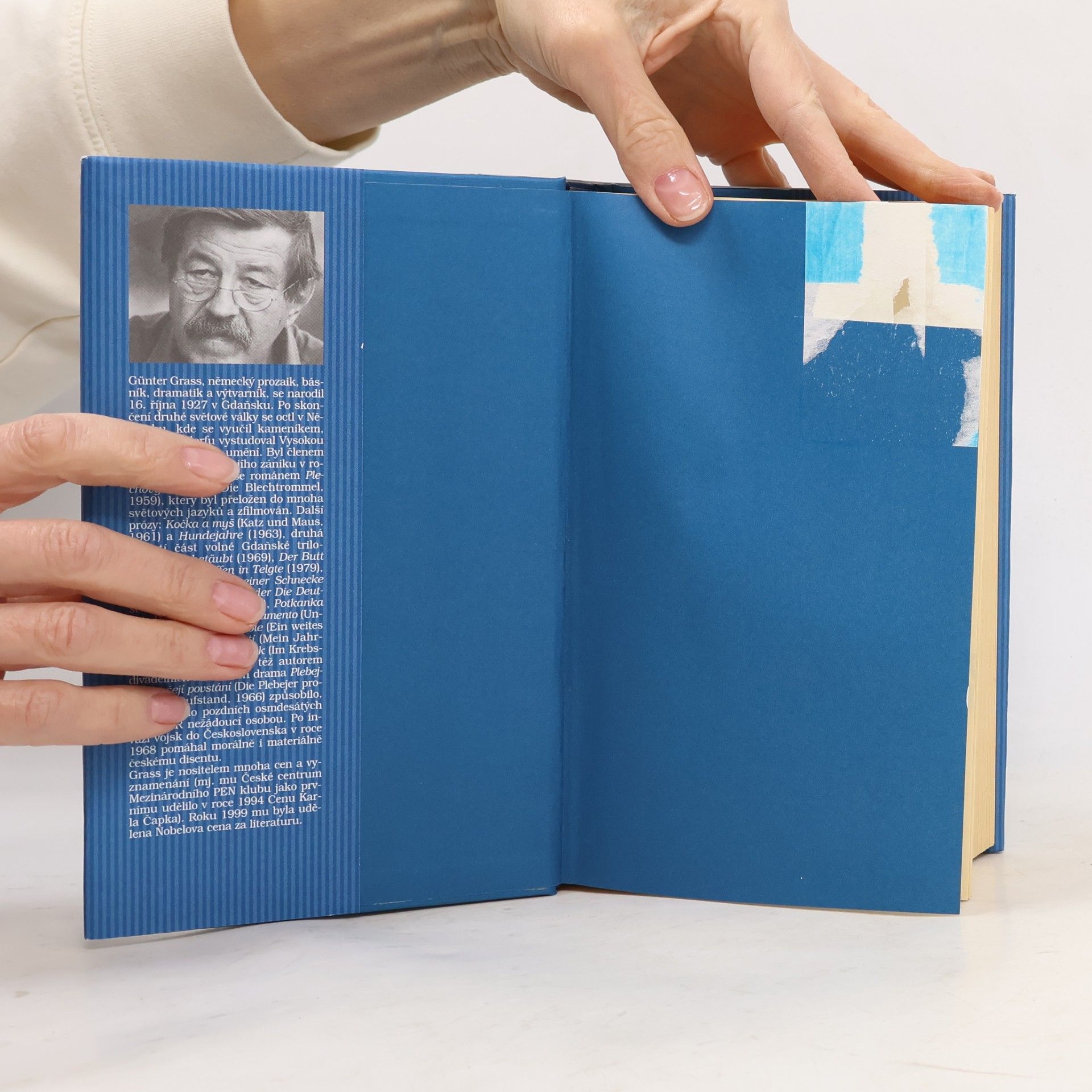 Günter Grass Psí roky