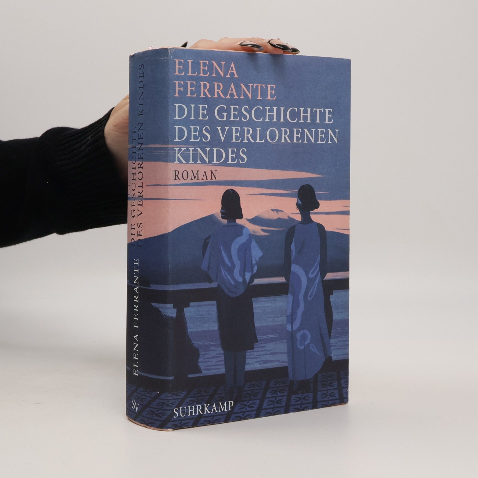 Elena Ferrante Die Geschichte Des Verlorenen Kindes