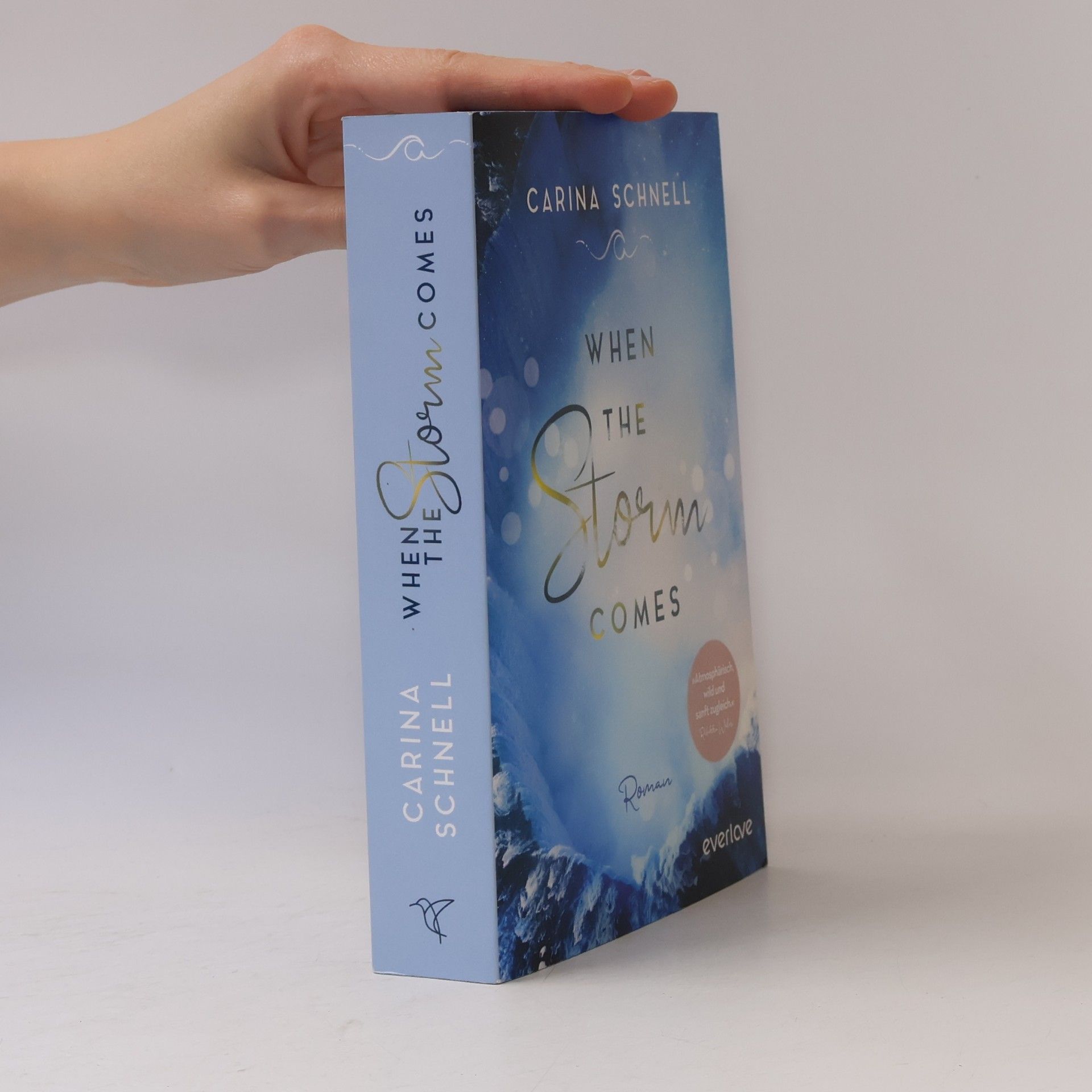 Karina Schnell When the storm comes
