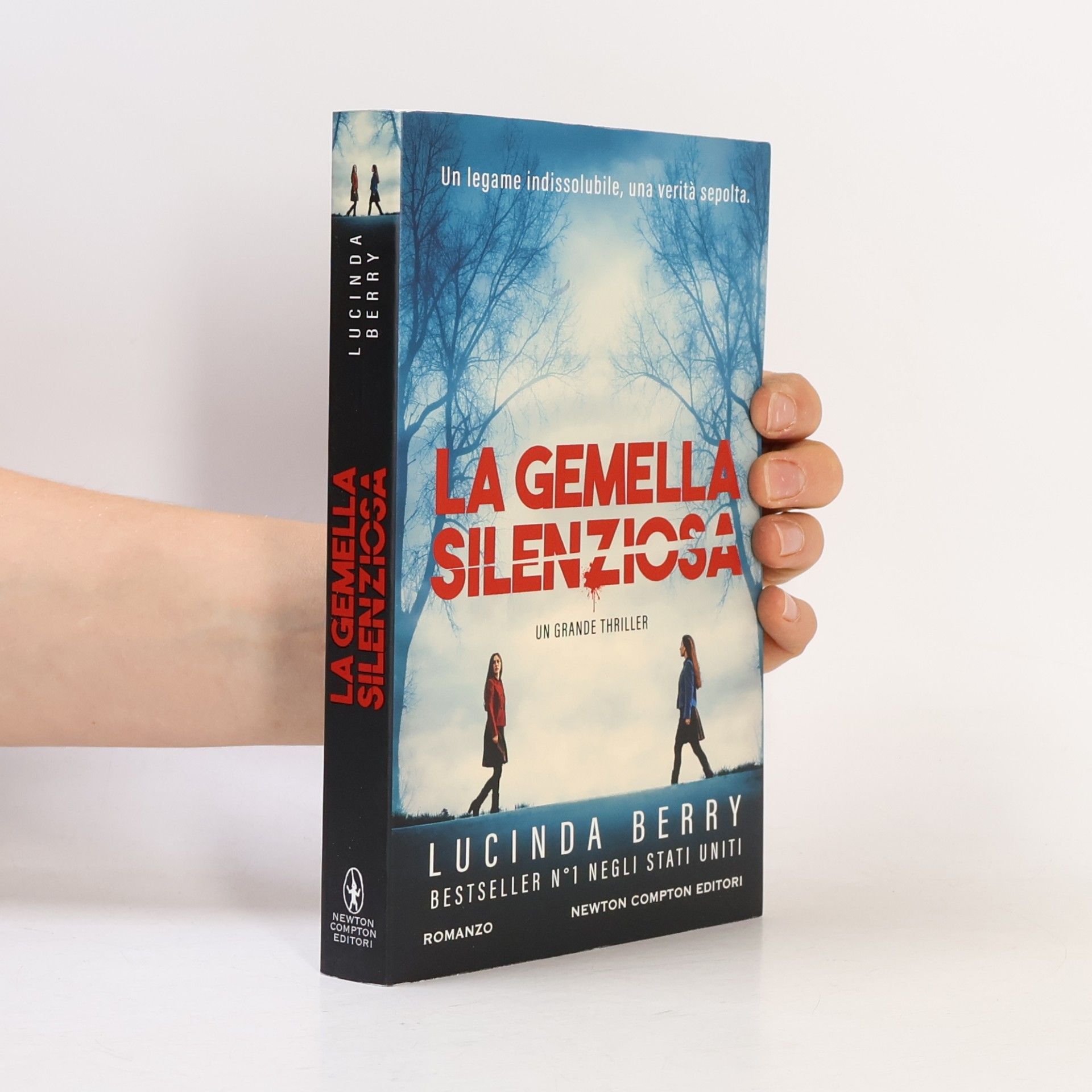 Lucinda Berry Nuova narrativa Newton: La gemella silenziosa
