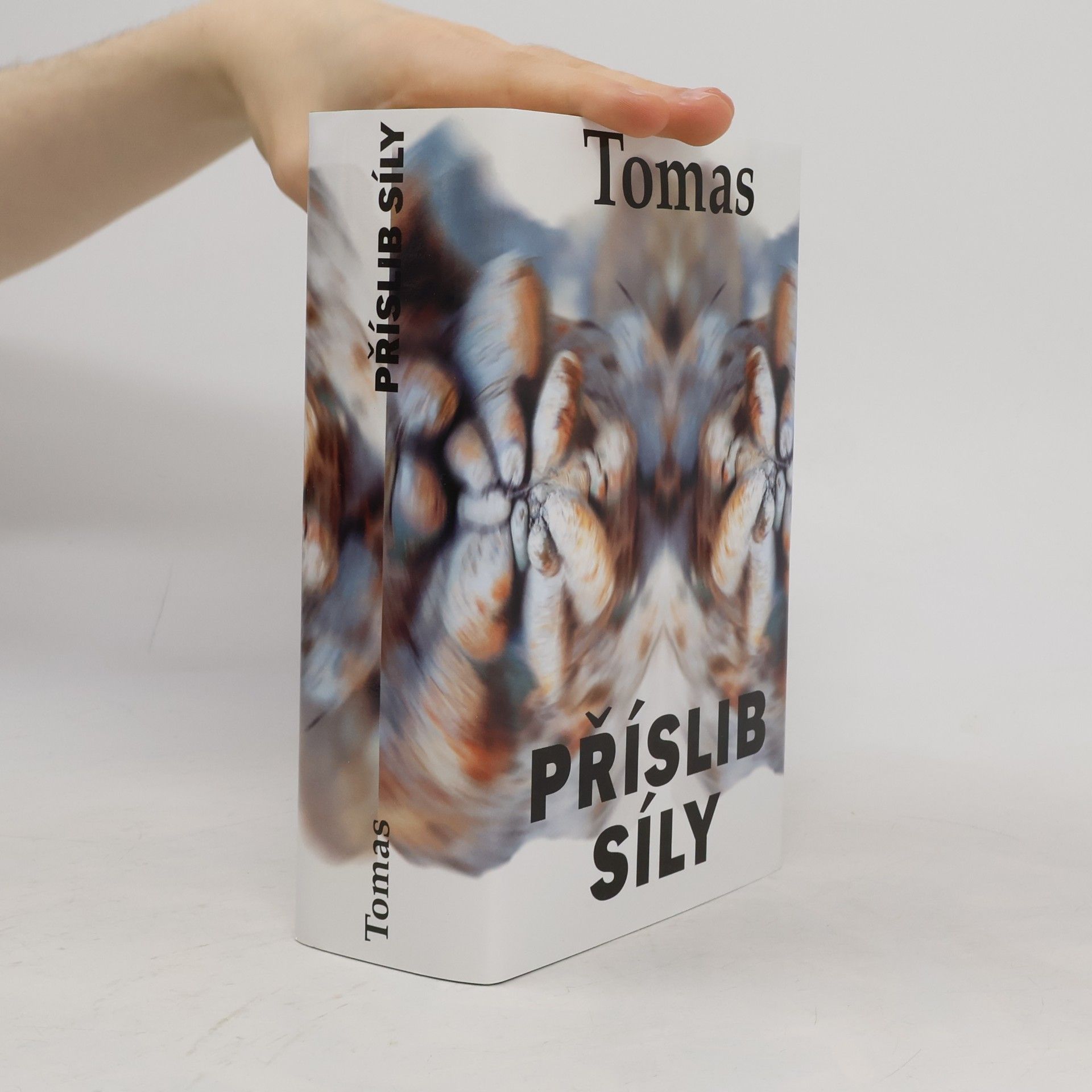 Příslib síly