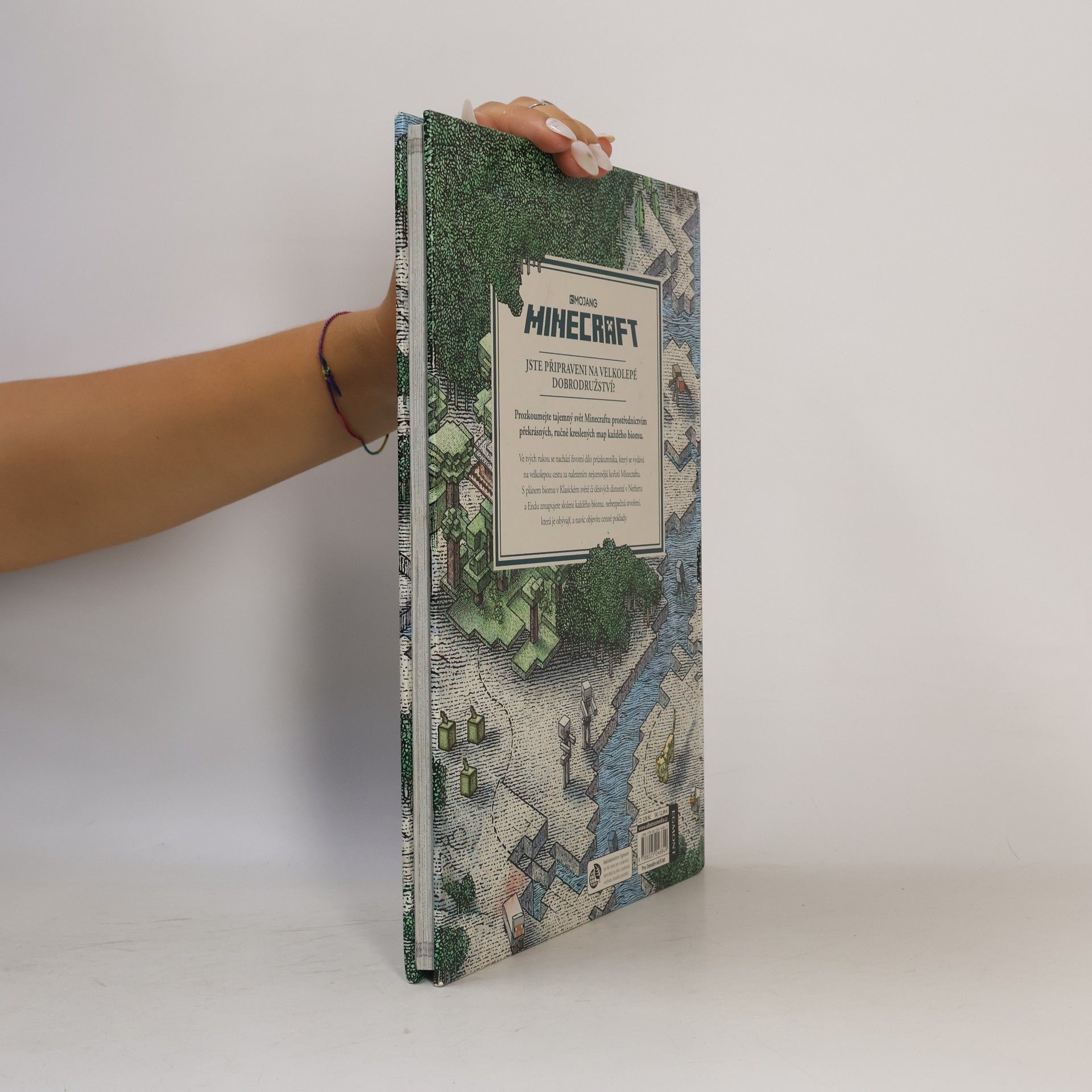 Stephanie Milton Minecraft atlas