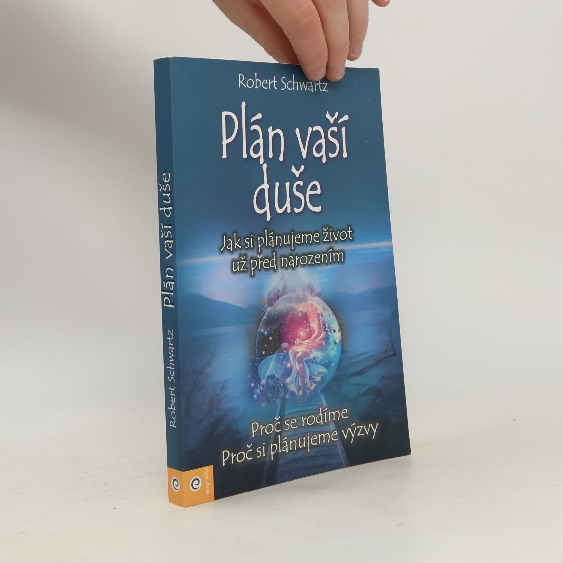 Zuzana Šestáková Plán vaší duše. Jak si plánujeme život už před narozením