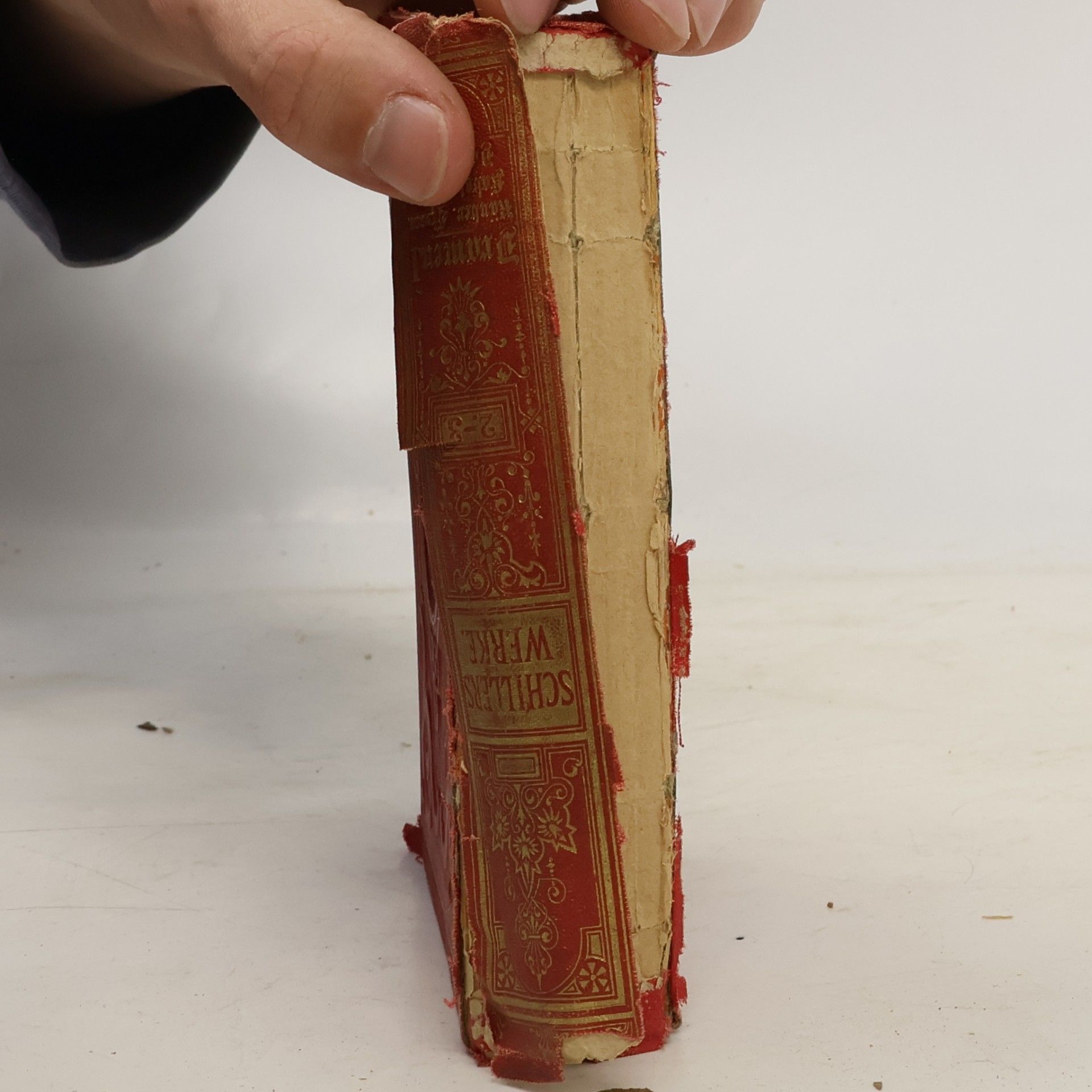 Friedrich Schiller Schiller's Werke 2-3. Dramen I.