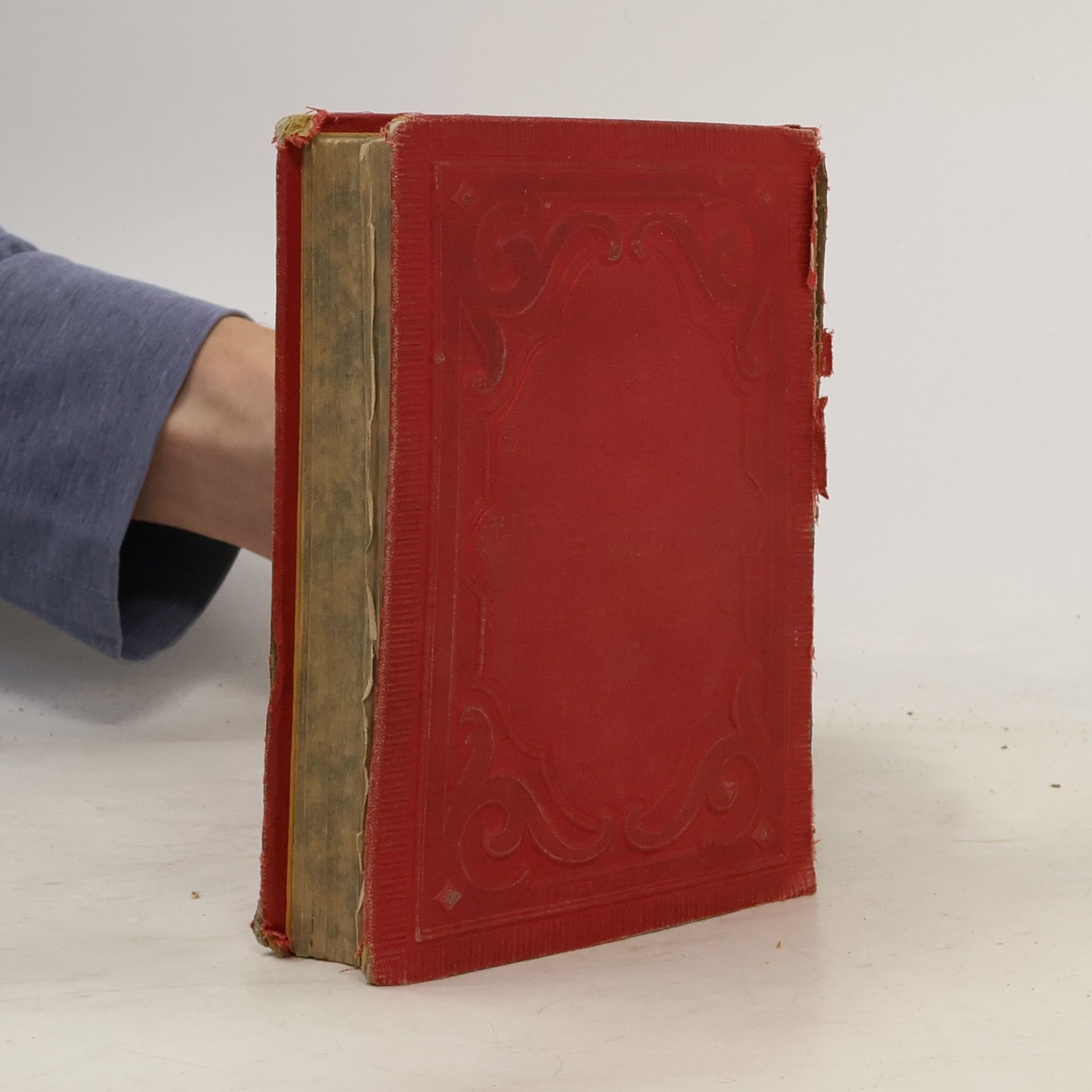 Friedrich Schiller Schiller's Werke 2-3. Dramen I.