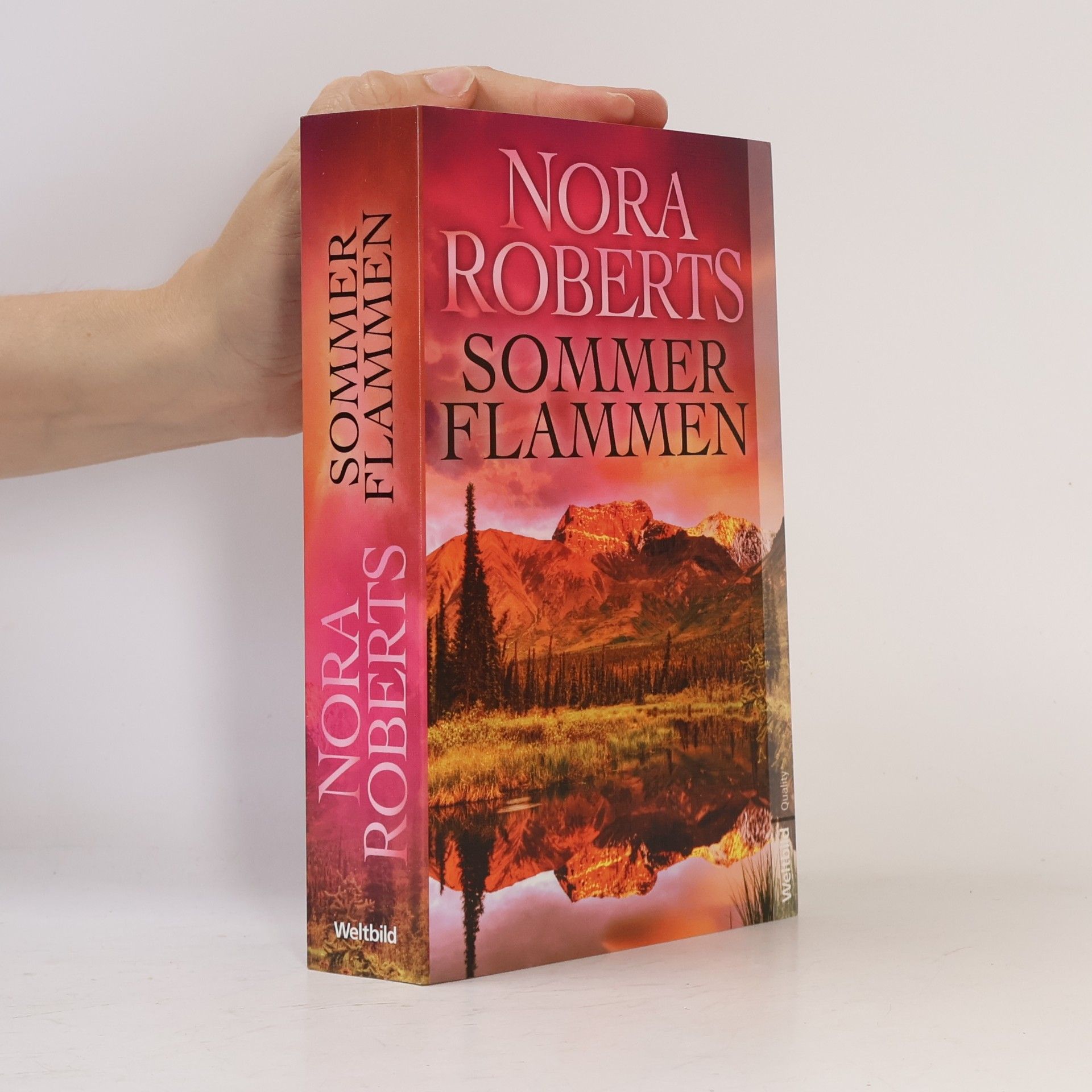 Nora Roberts Sommerflammen