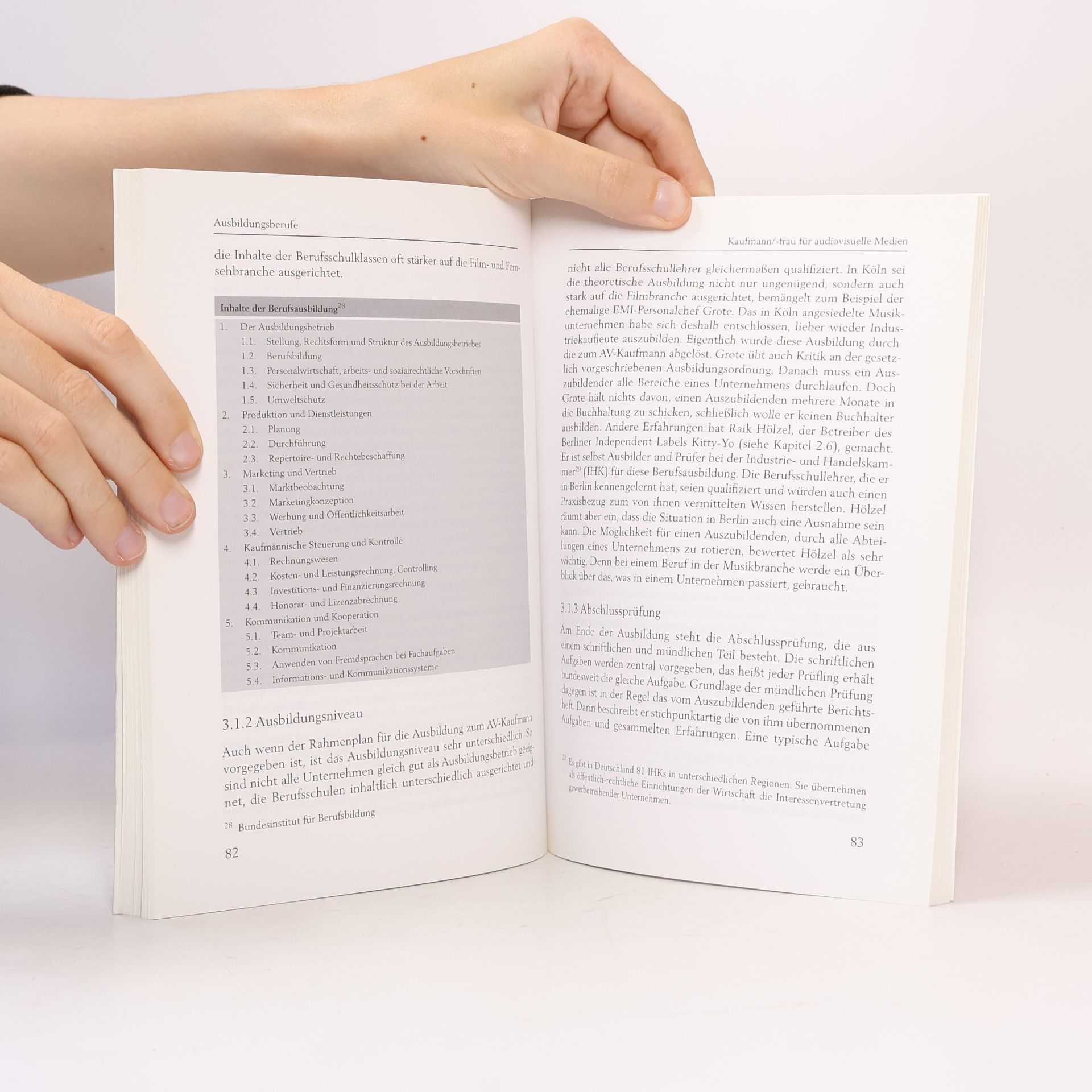 Lothar Scholz Studienbuch Musik: Die Musikbranche