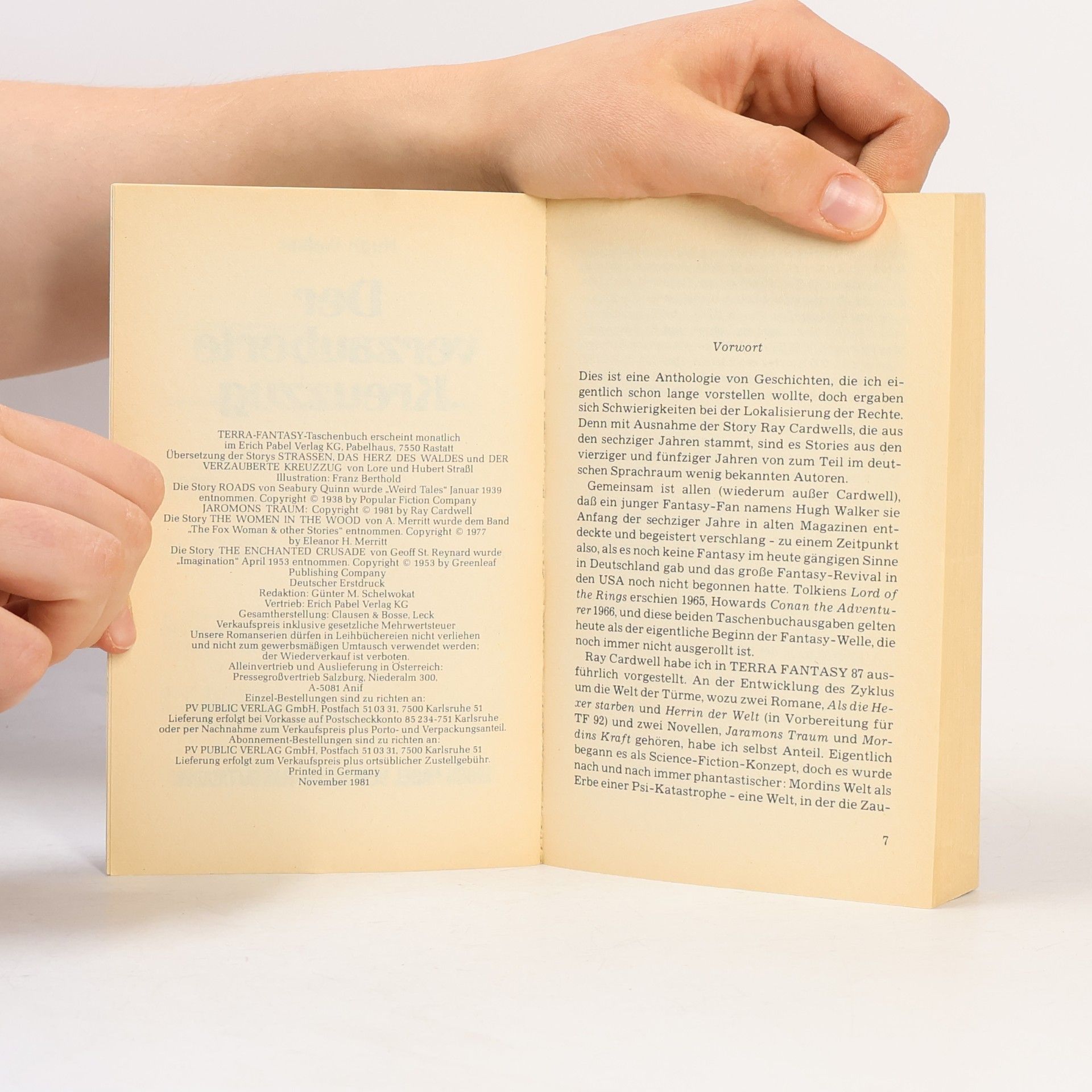 Autorenkollektiv Terra Fantasy. Der verzauberte Kreuzzug