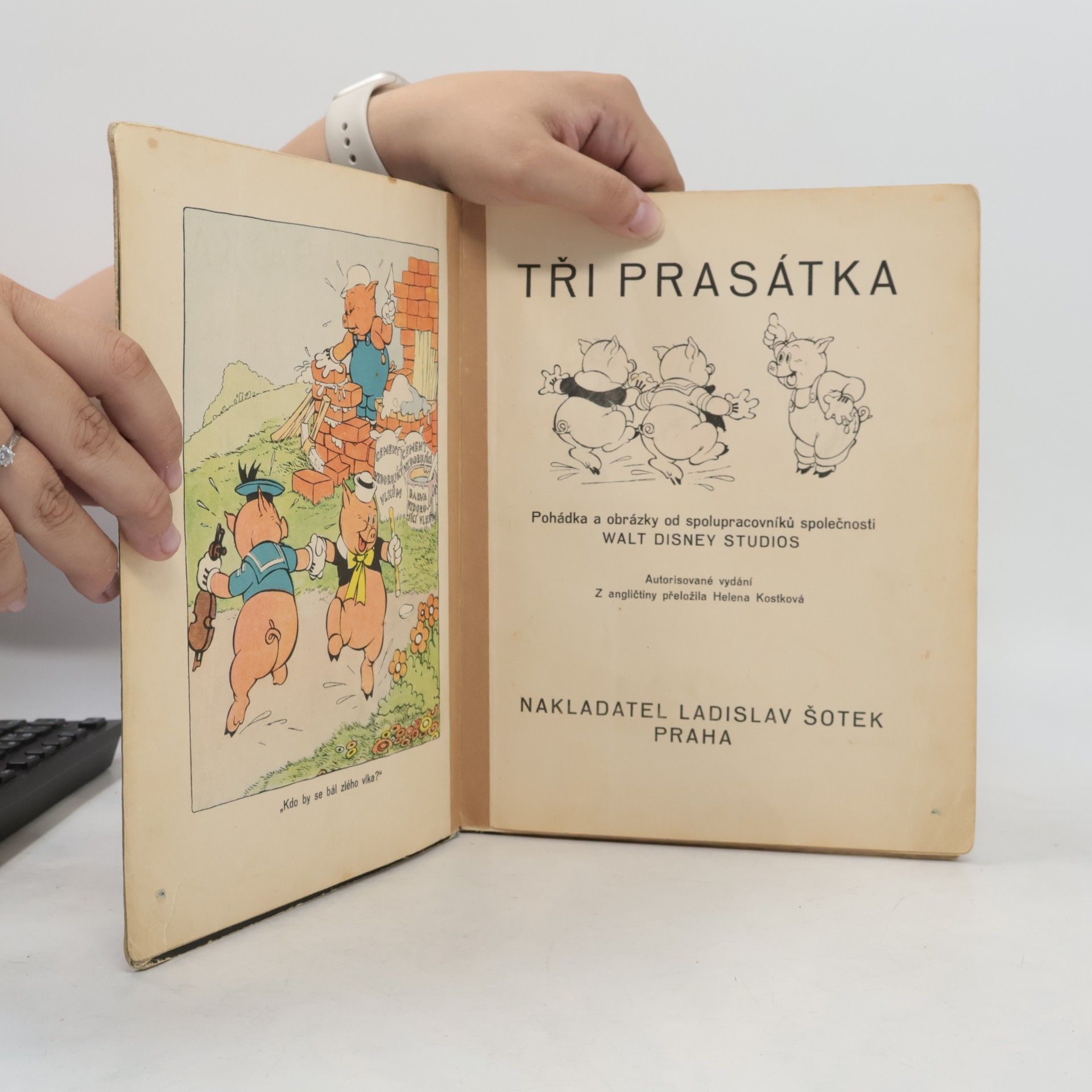 Helena Kostková Tři prasátka