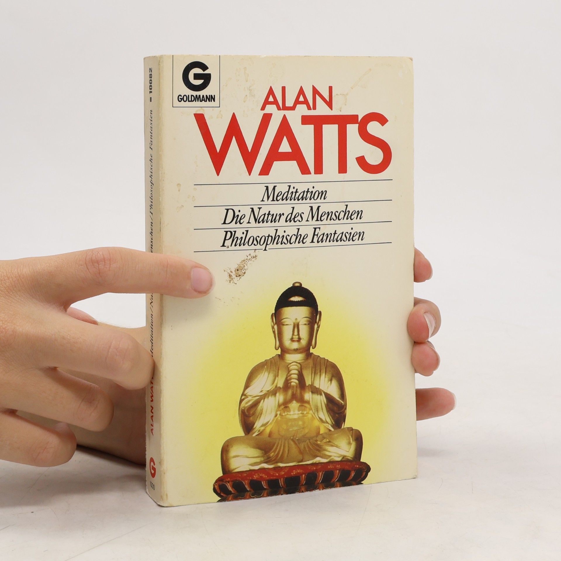 Alan Watts Meditation