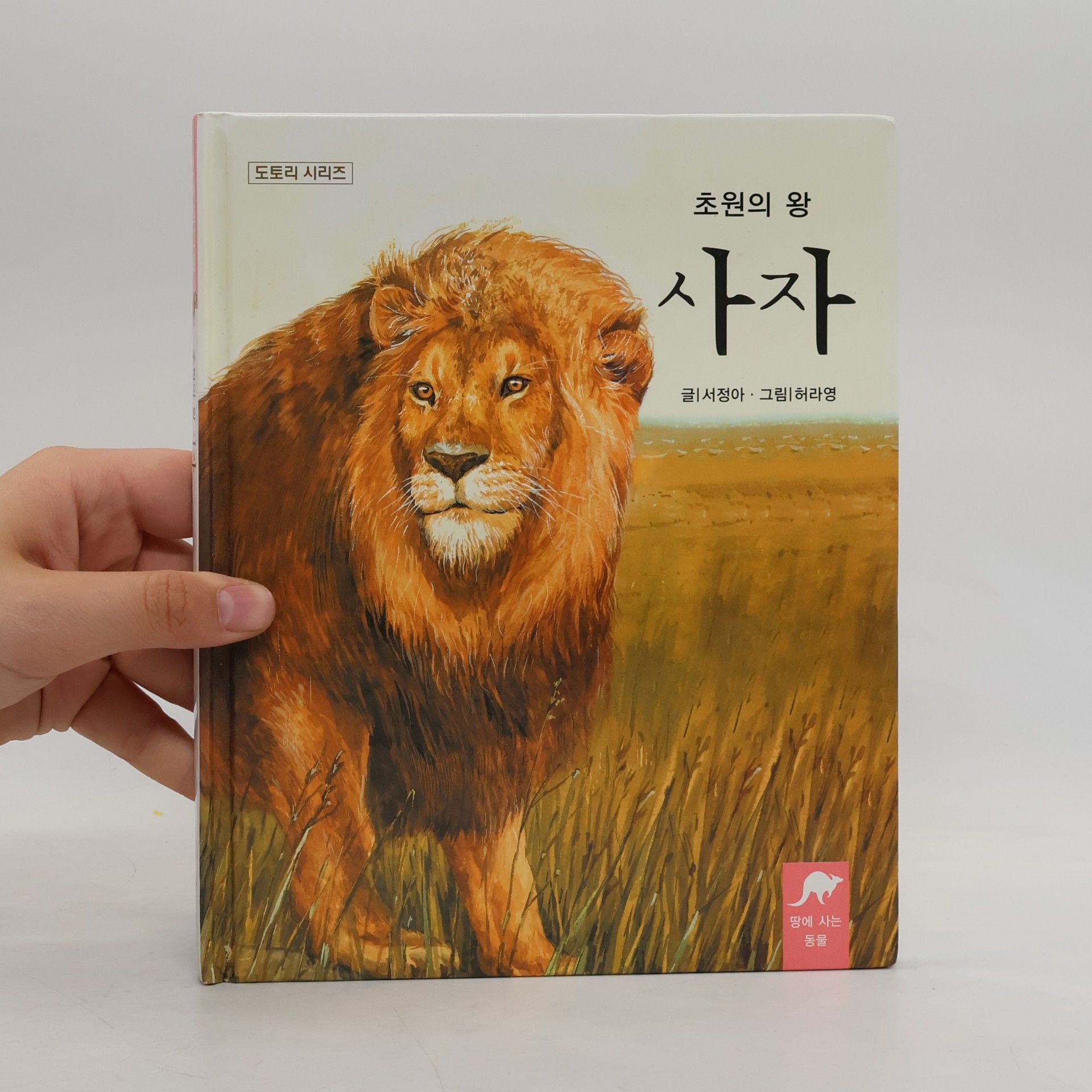 서정아 초원의 왕 사자 3
