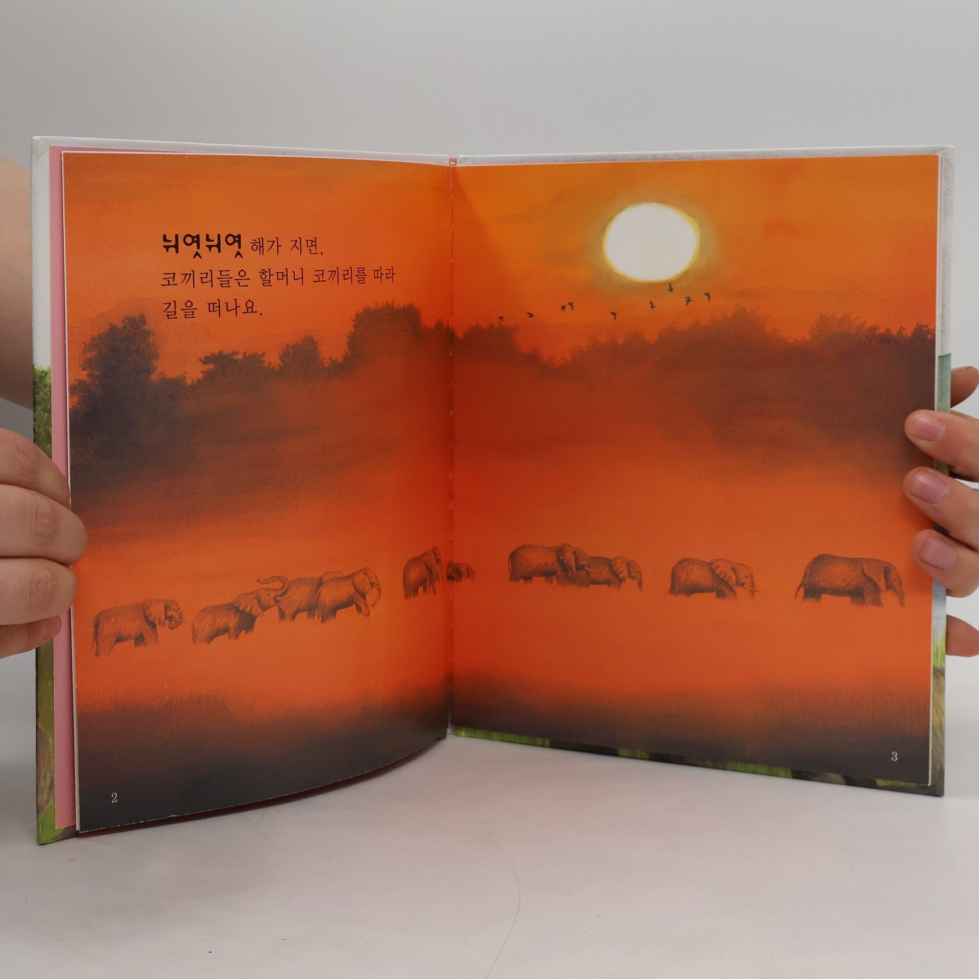 김귀경 코로 악수하는 코끼리 1