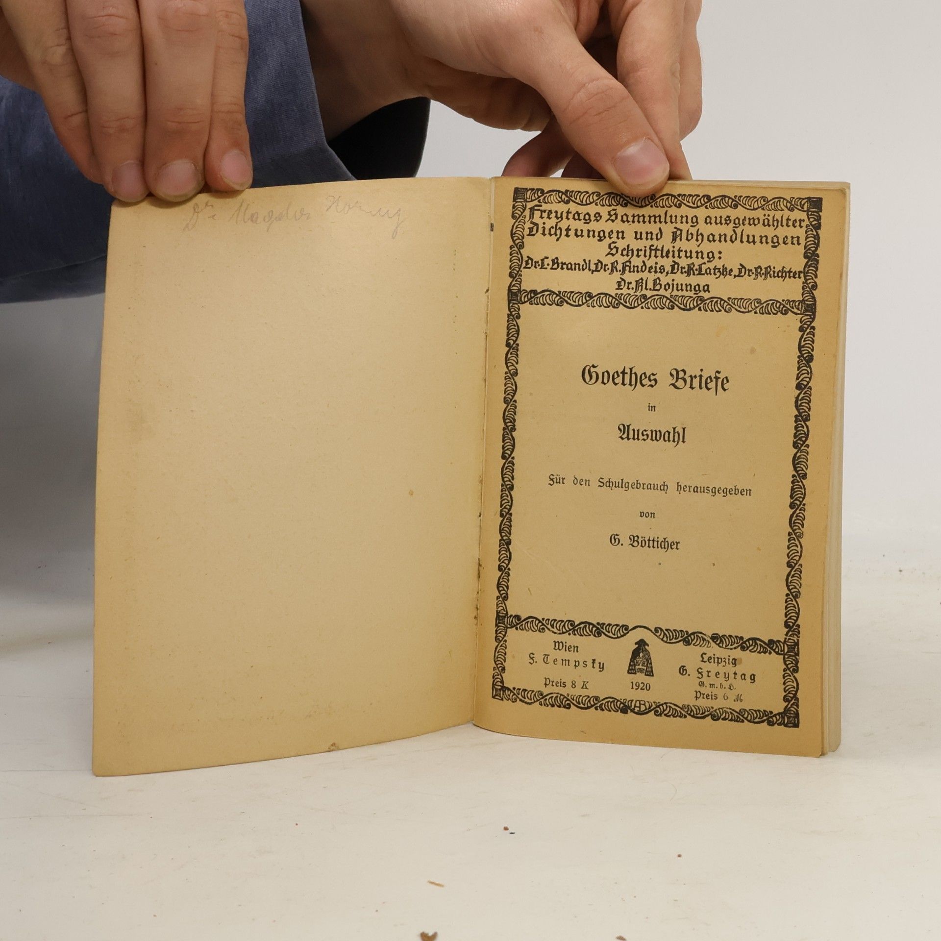 Goethe Goethes Briefe