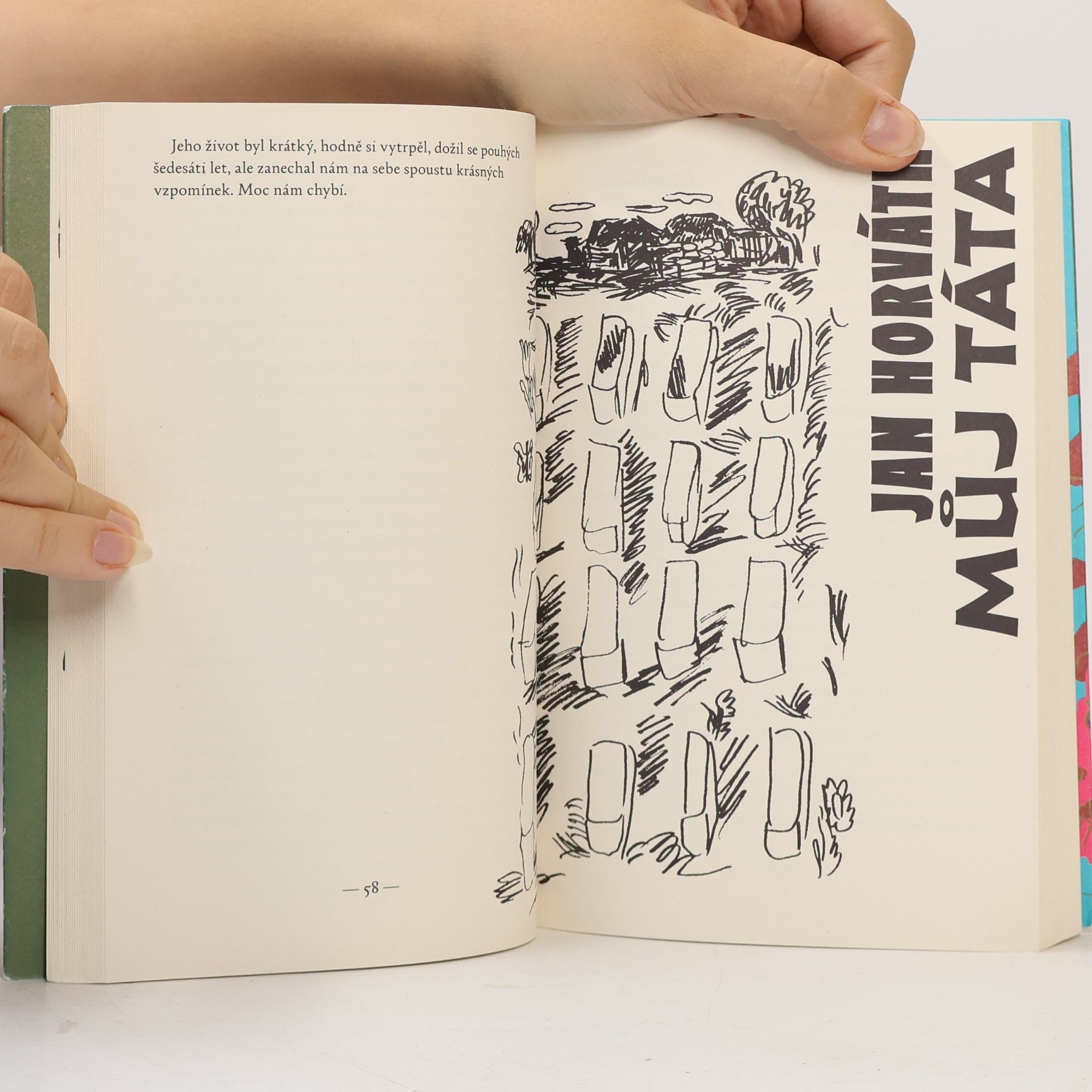 Various authors Všude samá krása - 20. století v povídkách romských autorů
