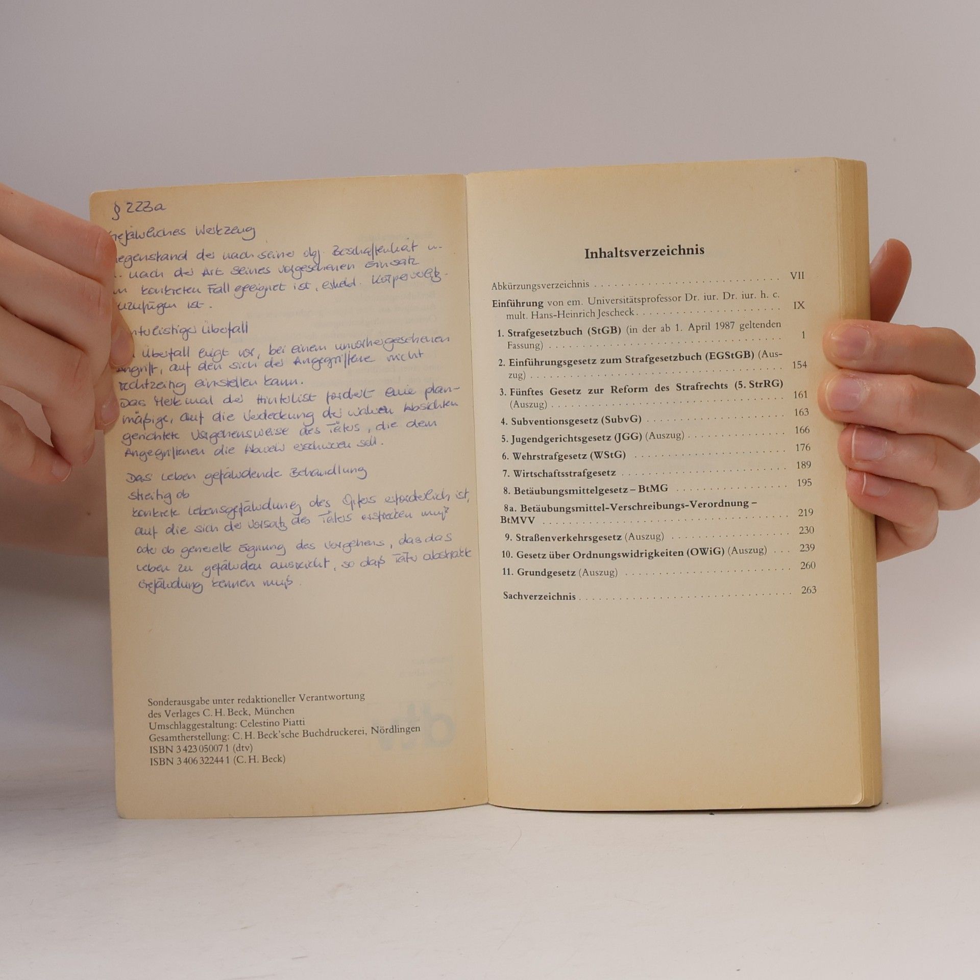 Celestino Piatti StGB Strafgesetzbuch