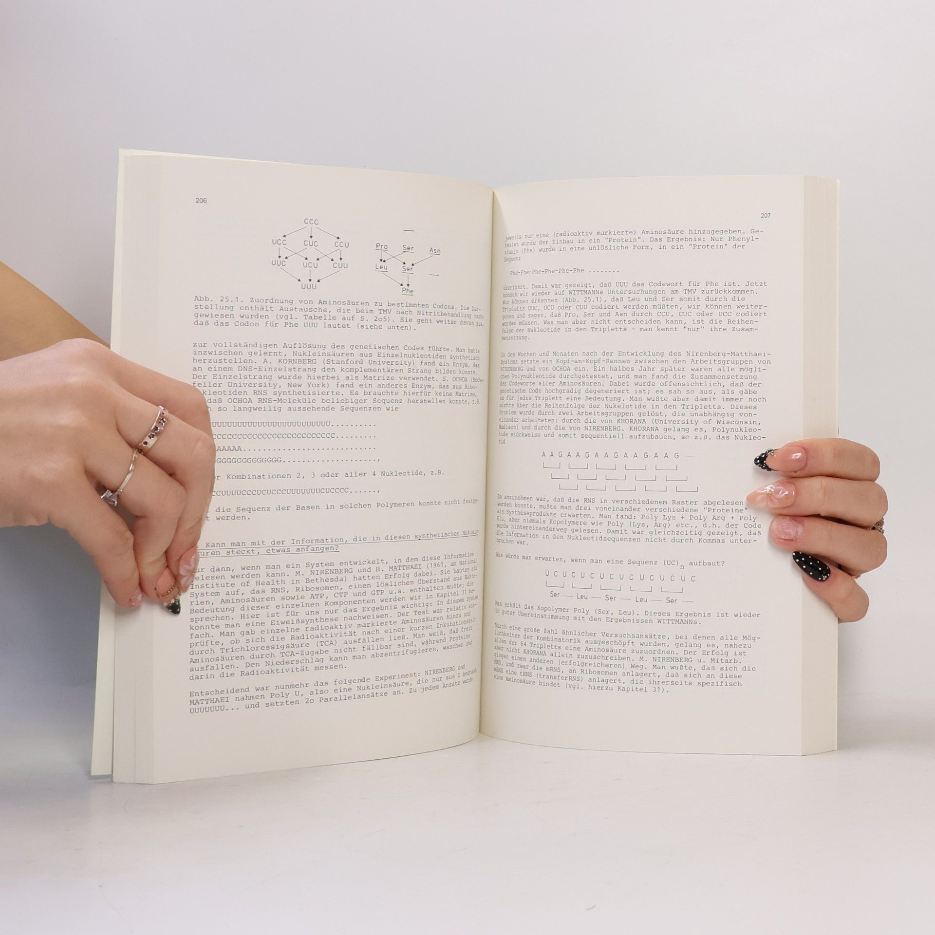 Autorenkollektiv Einführung in die Allgemeine Biologie