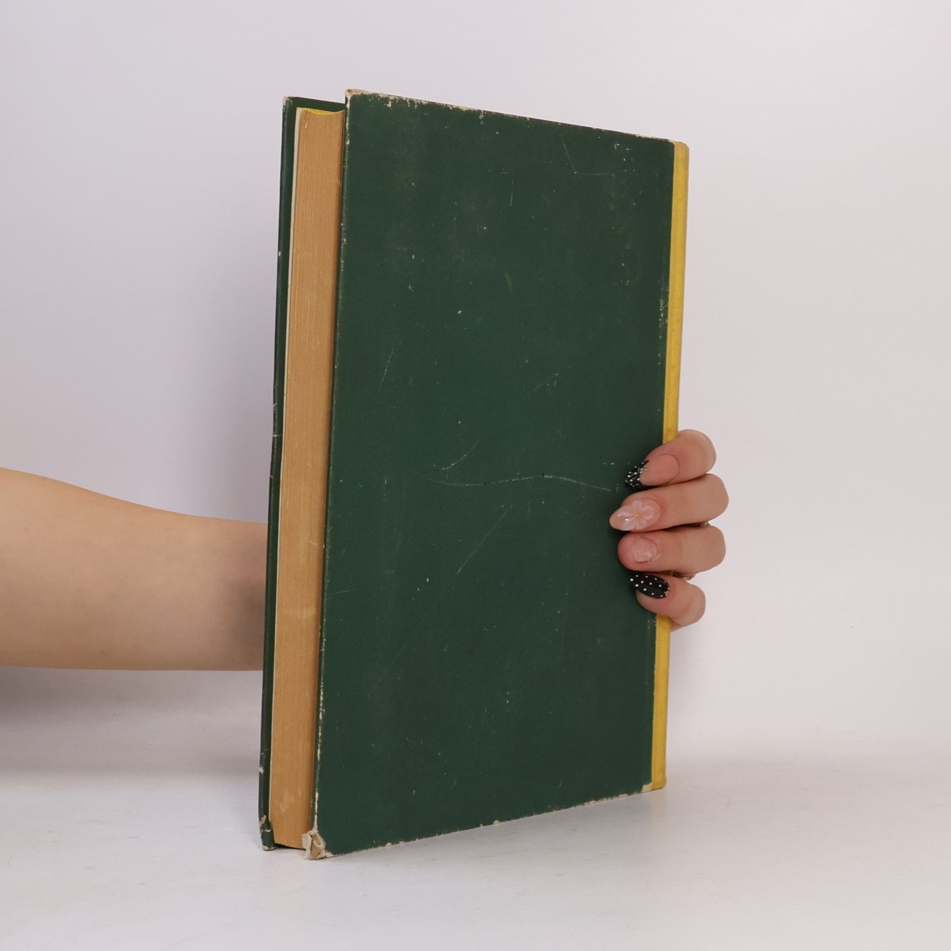 A. P. Schennikow Pflanzen Ökologie