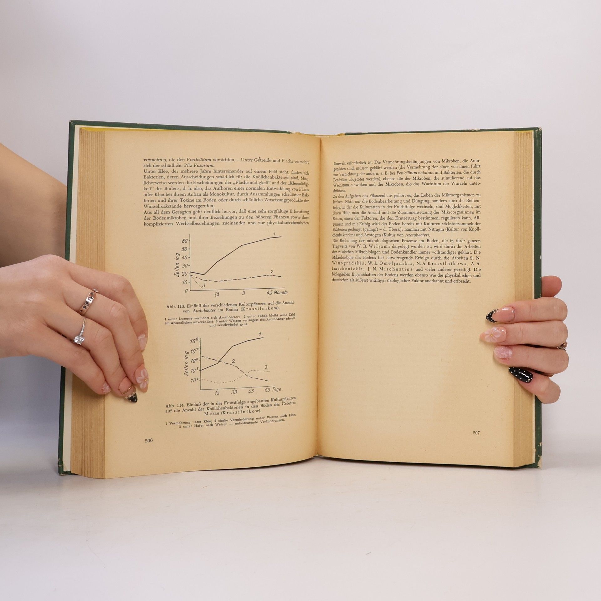 A. P. Schennikow Pflanzen Ökologie