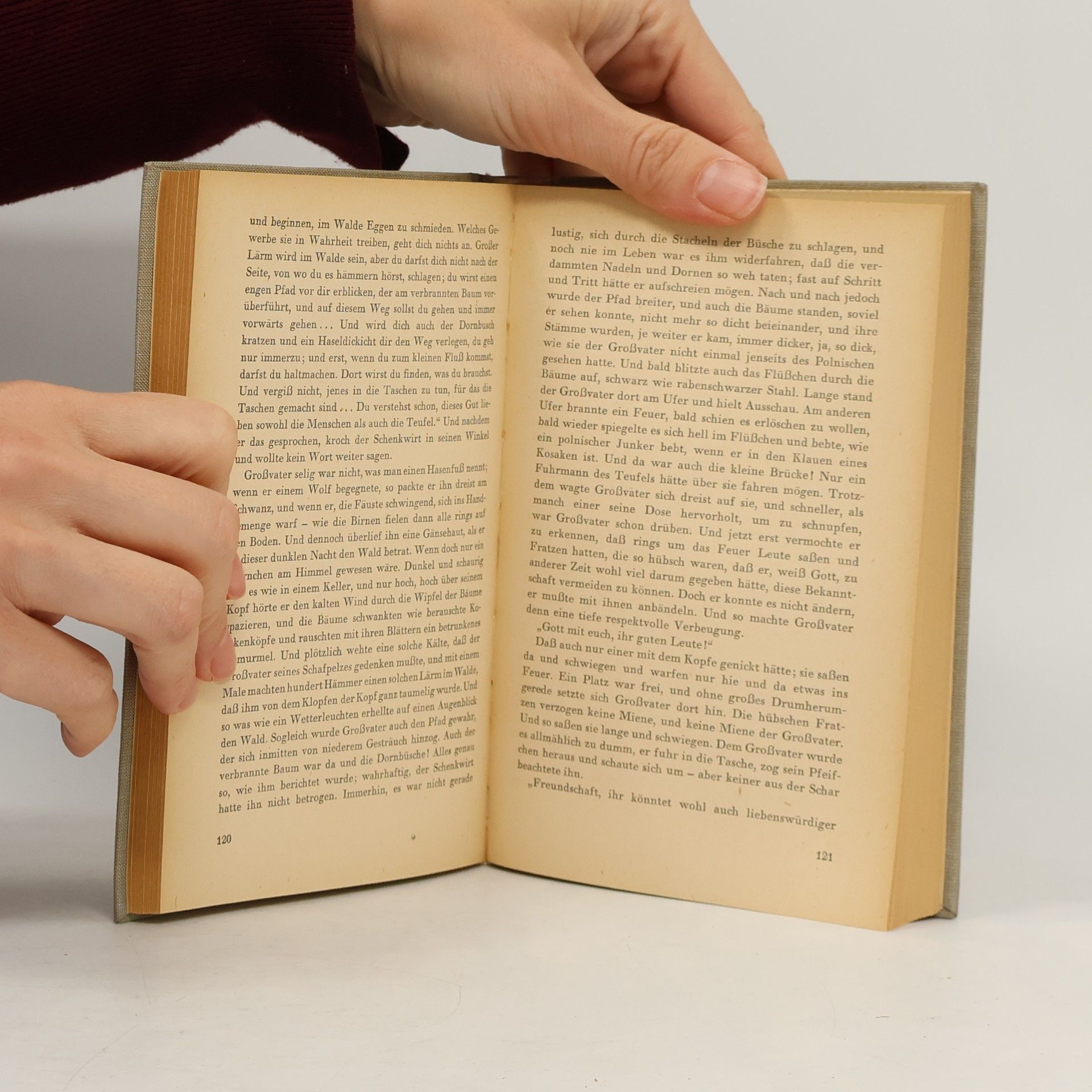 Nikolaj Vasiljevič Gogol Geschichten aus der Spinnstube