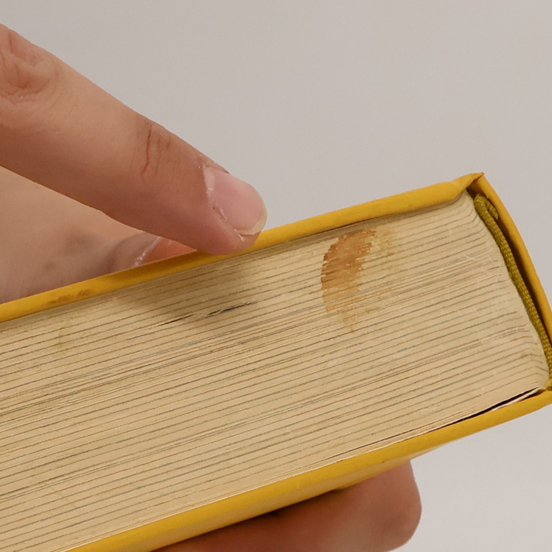 Autorenkollektiv Das neue grosse Kochbuch