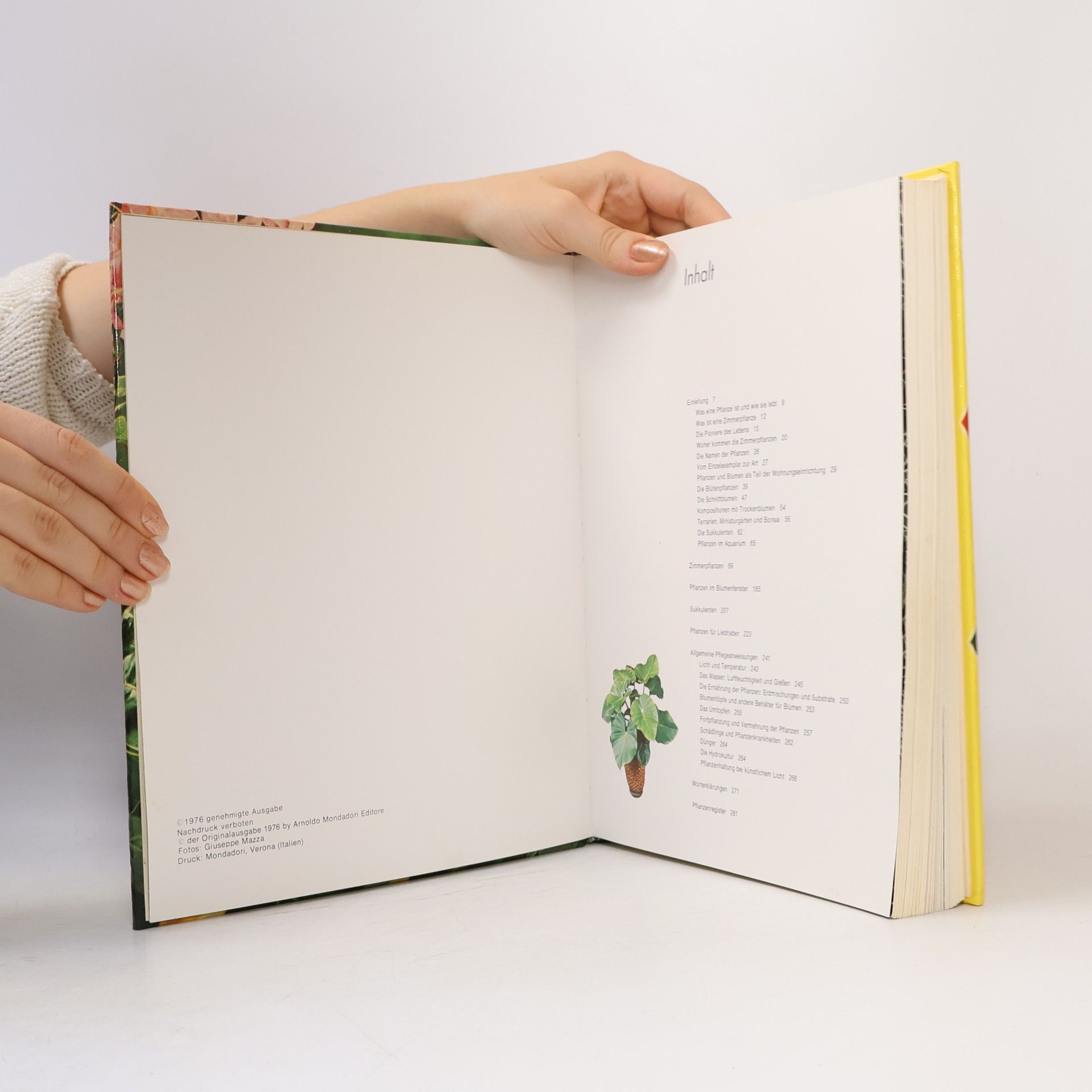 Kolektiv autorů Planzen und Blüten im Haus
