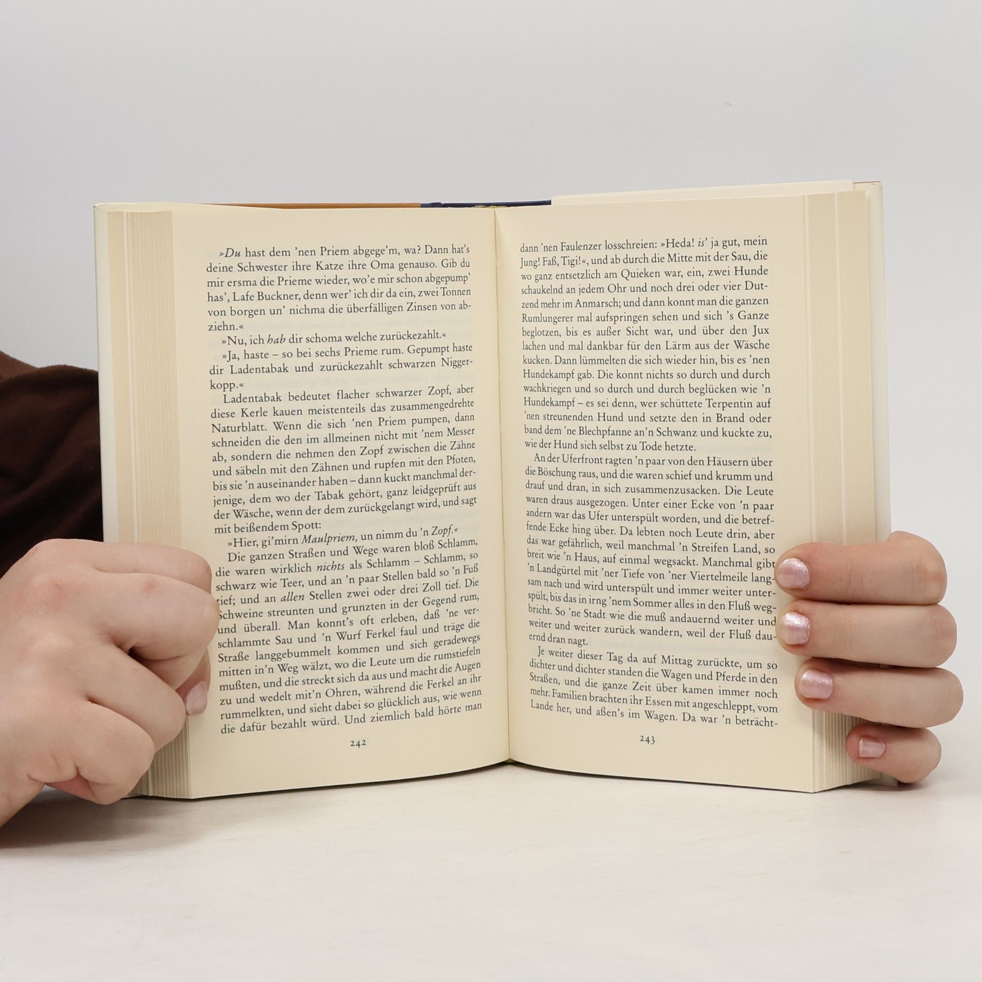 Mark Twain Abenteuer von Huckleberry Finn