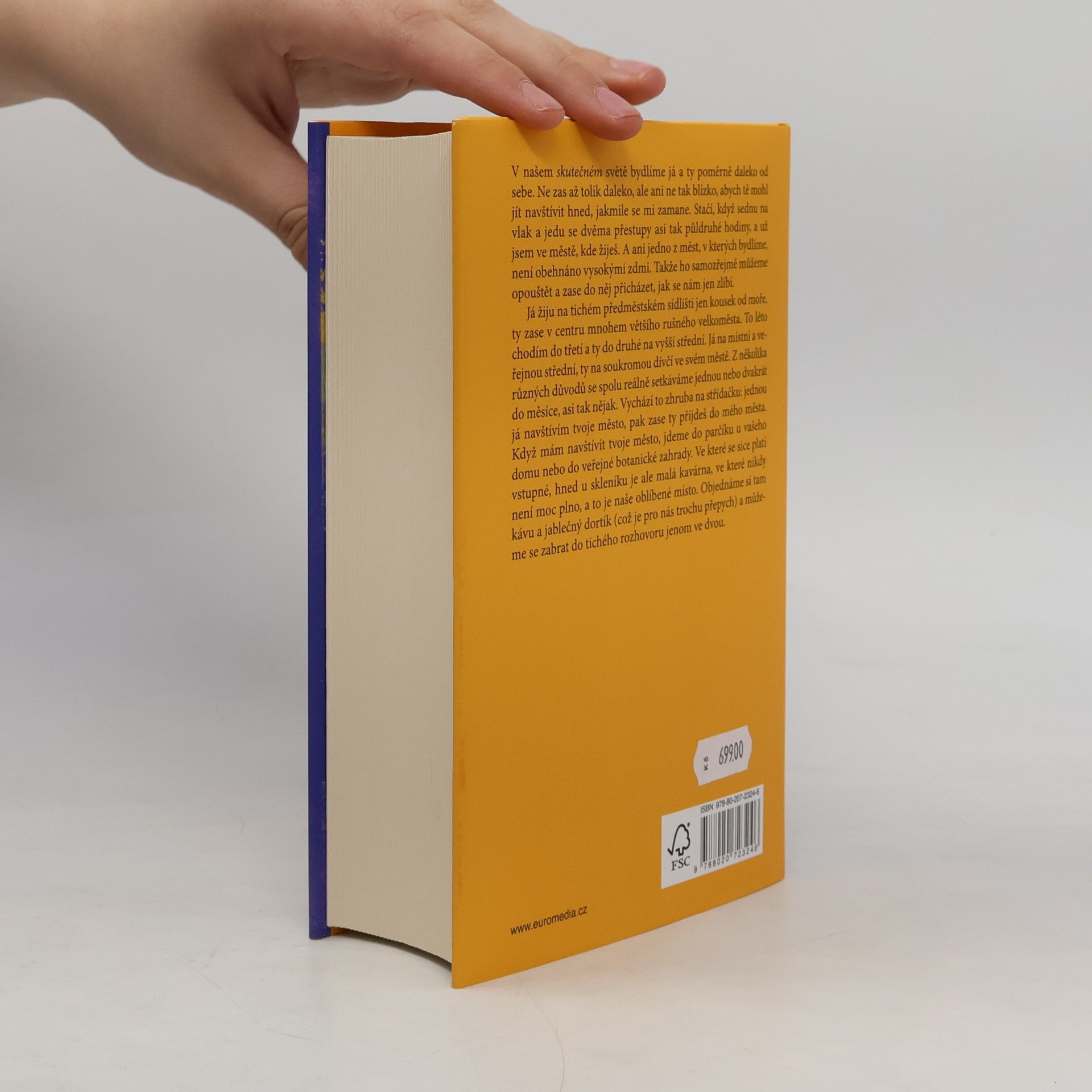 Haruki Murakami Město a jeho nejisté zdi