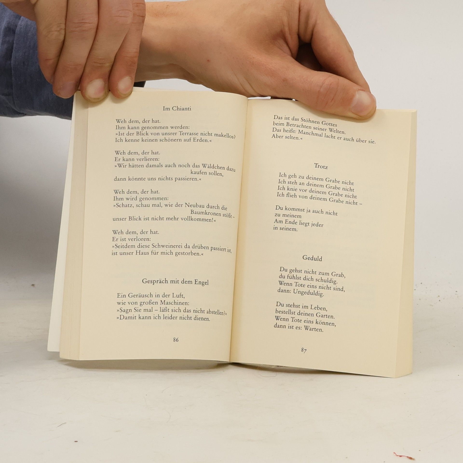Robert Gernhardt Reim und Zeit