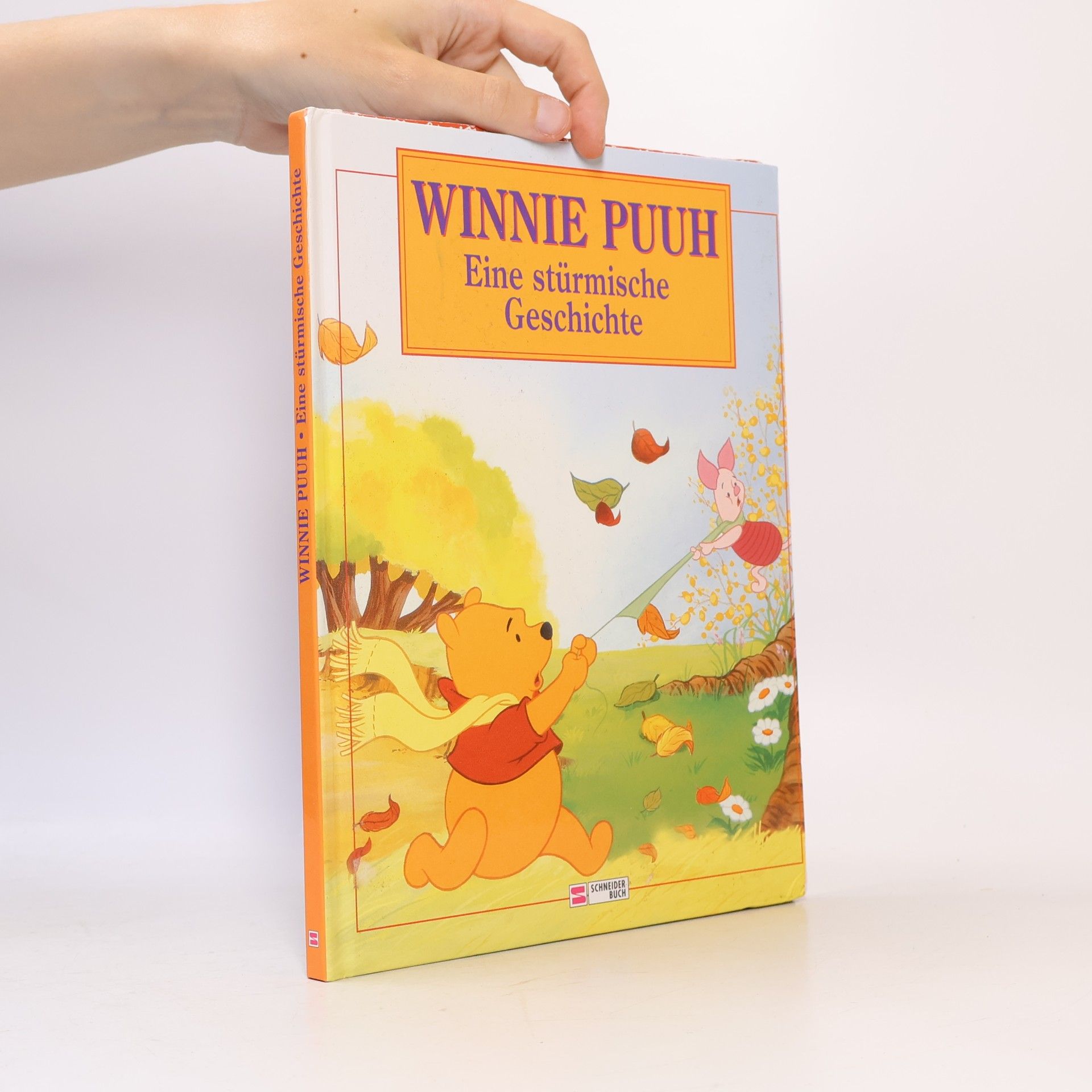 Collectif d'auteurs Winnie Puuh, Eine stürmische Geschichte