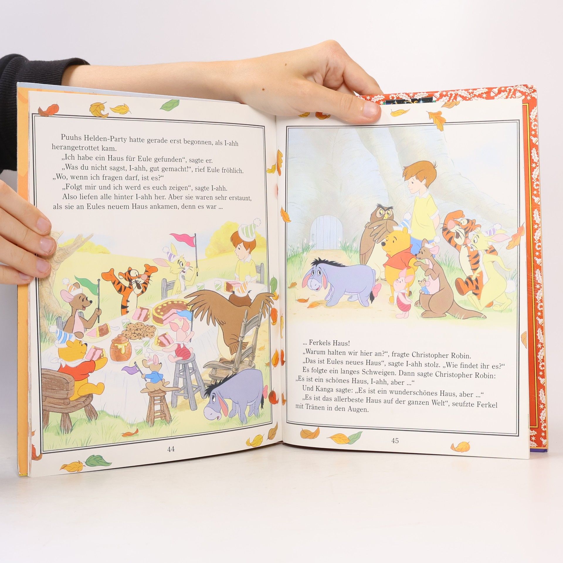 Collectif d'auteurs Winnie Puuh, Eine stürmische Geschichte